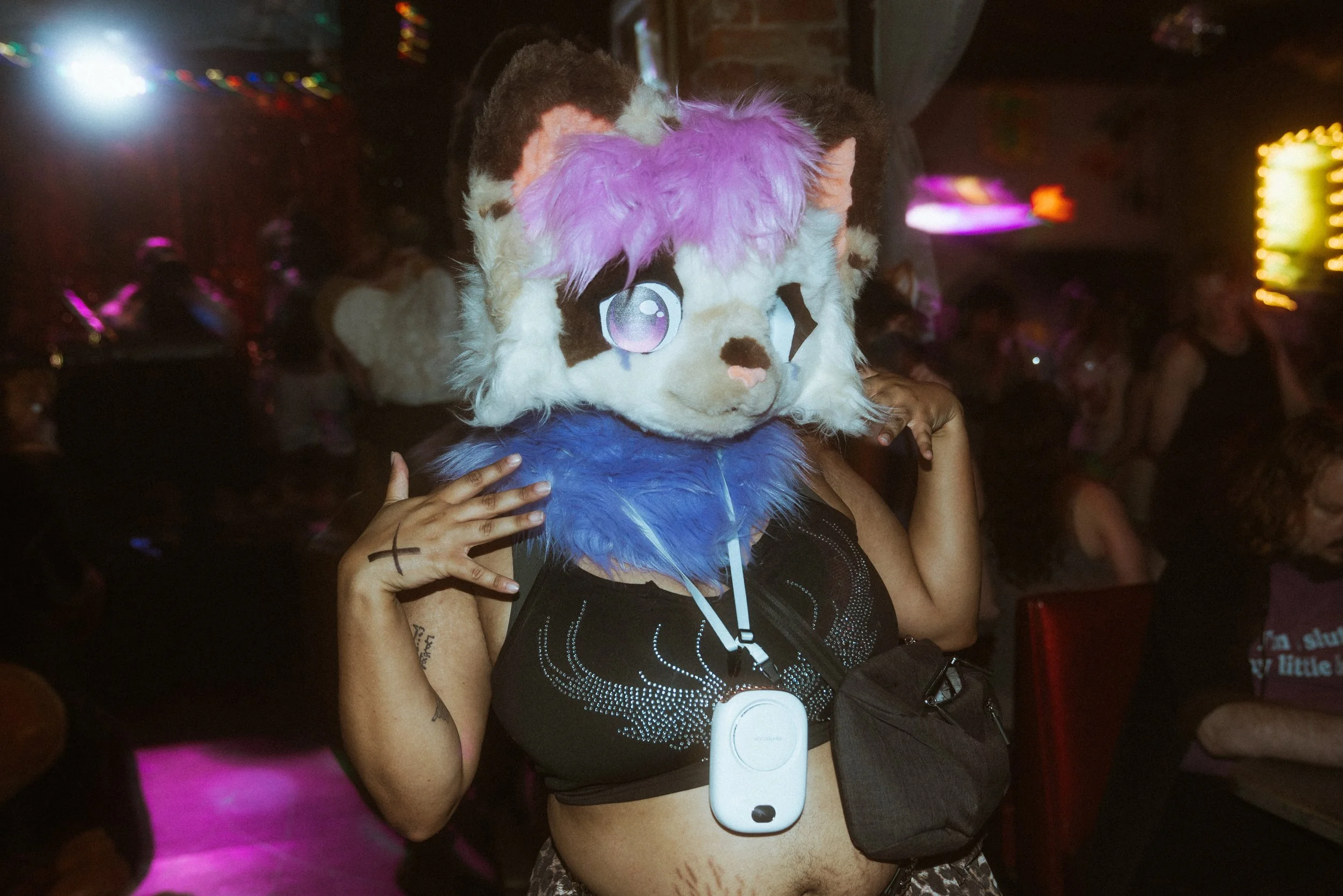 DSC08891.jpg