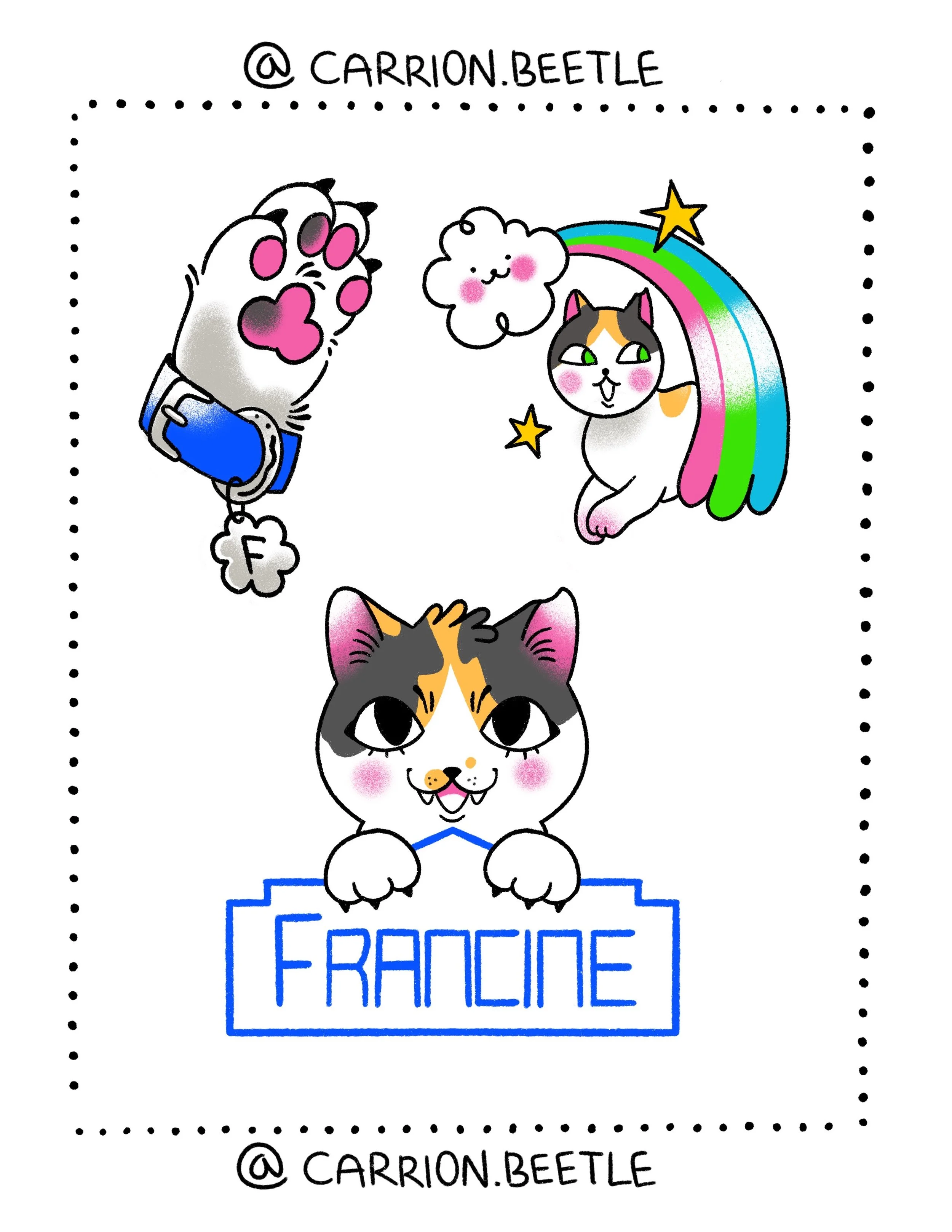 Frankee Francine flash.jpeg