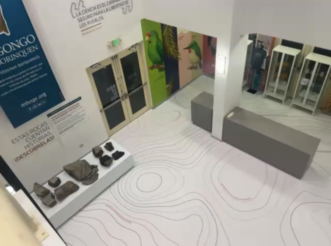 View of a museum or educational center with displays, colorful wall art of birds, glass display cases, and informational signs.