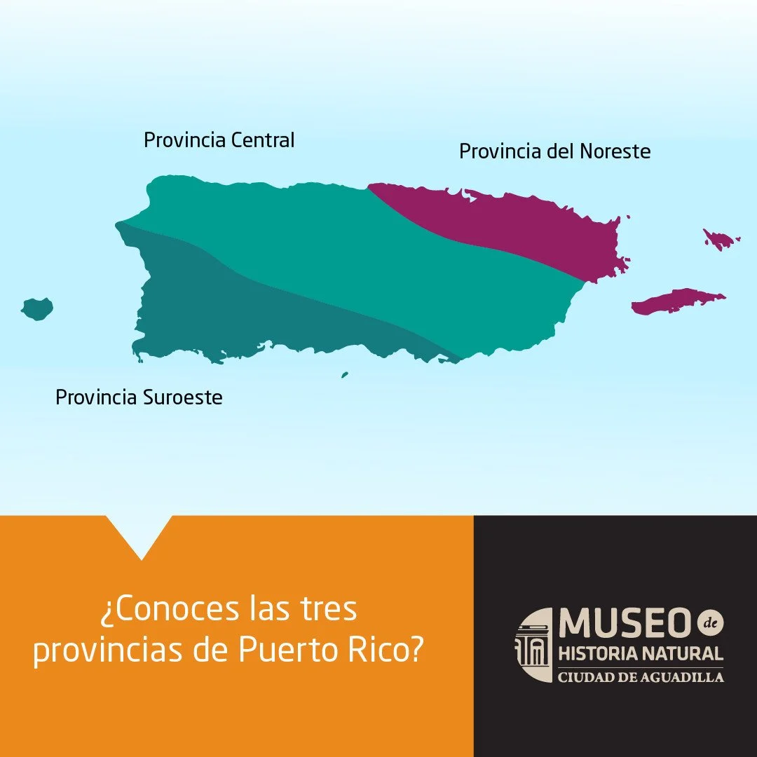 Hoy d&iacute;a el Archipi&eacute;lago de Puerto Rico se divide en 78 municipios pero los ge&oacute;logos dividen la isla en provincias &iacute;gneas en base a la edad y la composici&oacute;n de las rocas en cada una.
Las tres son:
&middot; Provincia 