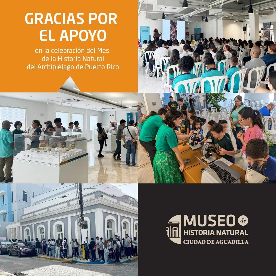 El Museo de Historia Natural y Conservaci&oacute;n de Puerto Rico agradece enormemente la abrumadora participaci&oacute;n y apoyo recibidos durante la Semana Educativa dedicada al Mes de la Historia Natural del Archipi&eacute;lago de Puerto Rico. Ant