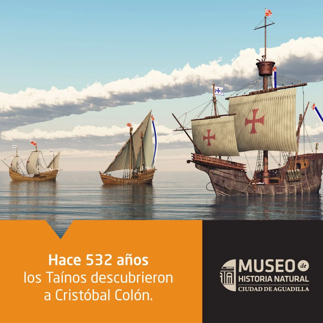 Cuando llegaron los colonizadores espa&ntilde;oles a las costas de Boriqu&eacute;n esta ya contaba con habitantes que hab&iacute;an llegado miles de a&ntilde;os atr&aacute;s. Estos primeros pobladores convivieron con parte de nuestra fauna end&eacute