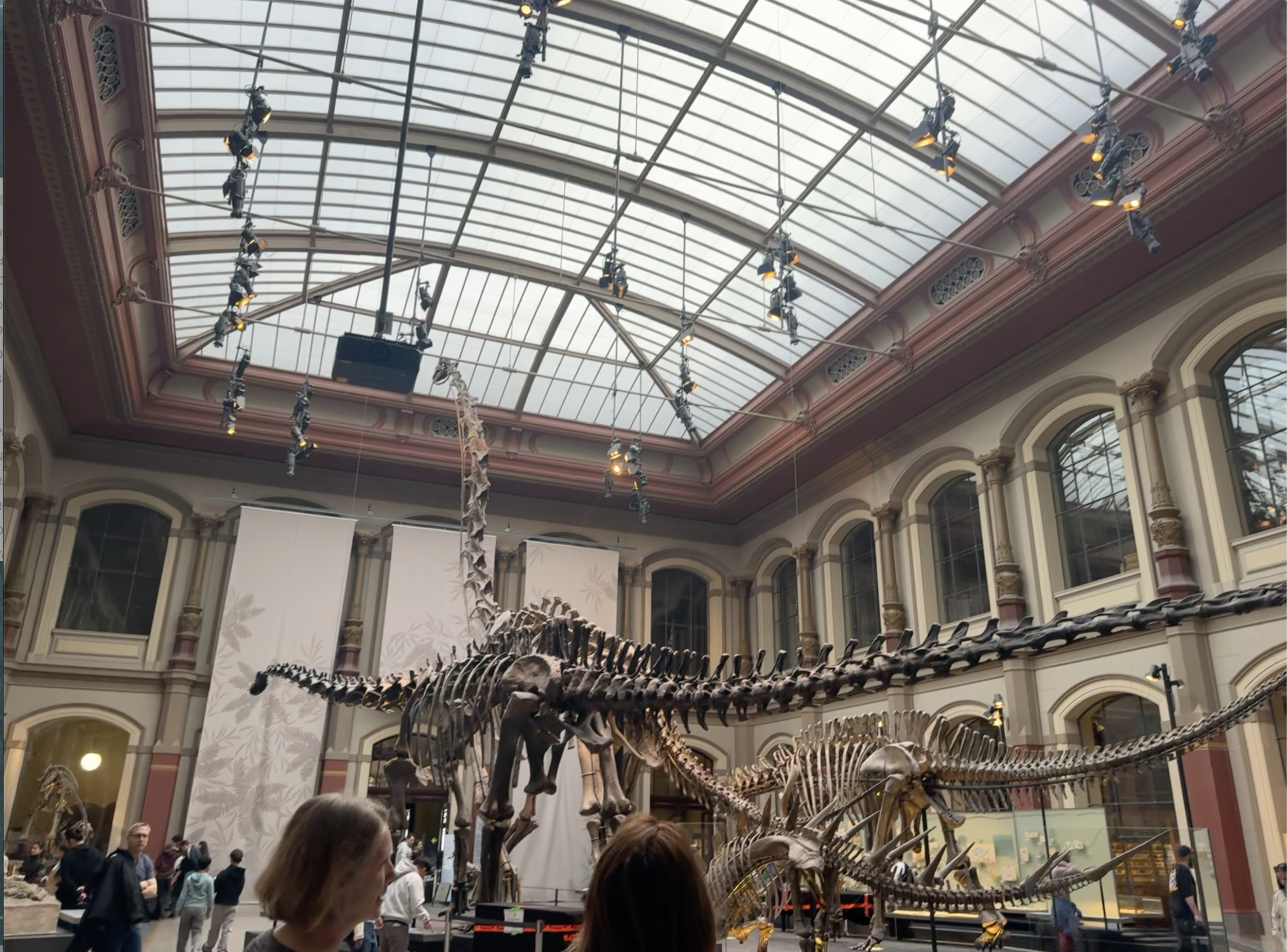 Museum für Naturkunde