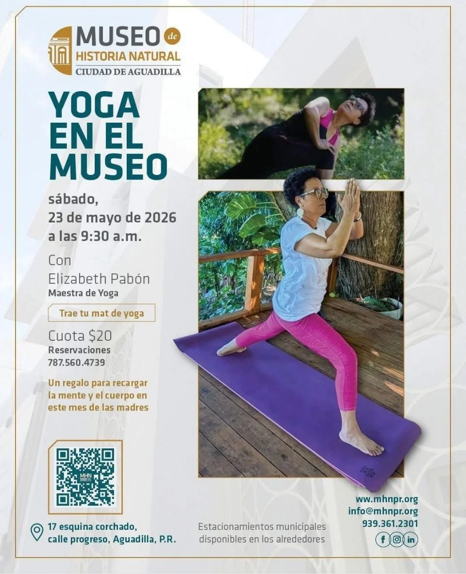 Yoga en el museo
