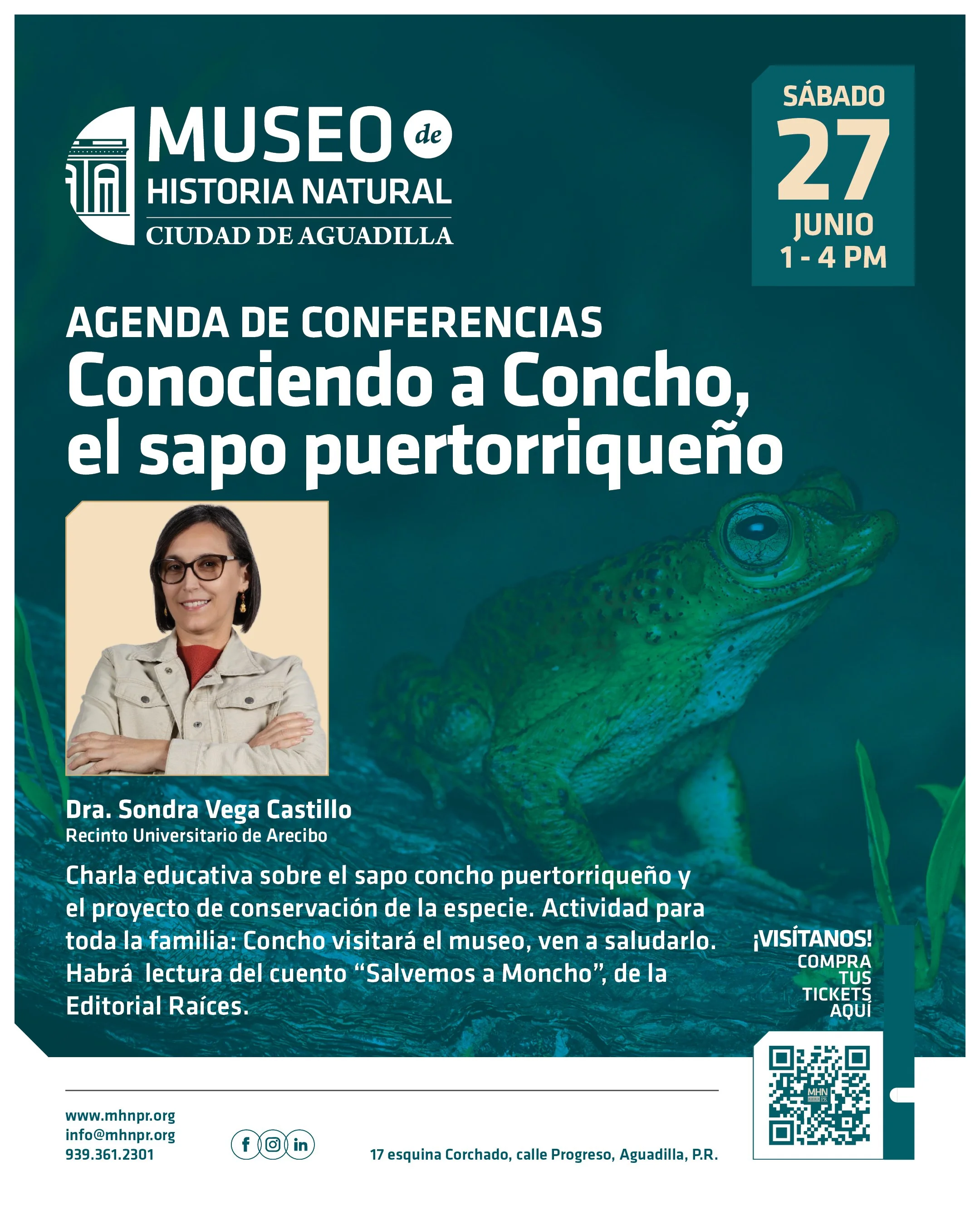 Conociendo a Concho, el sapo puertorriqueño 