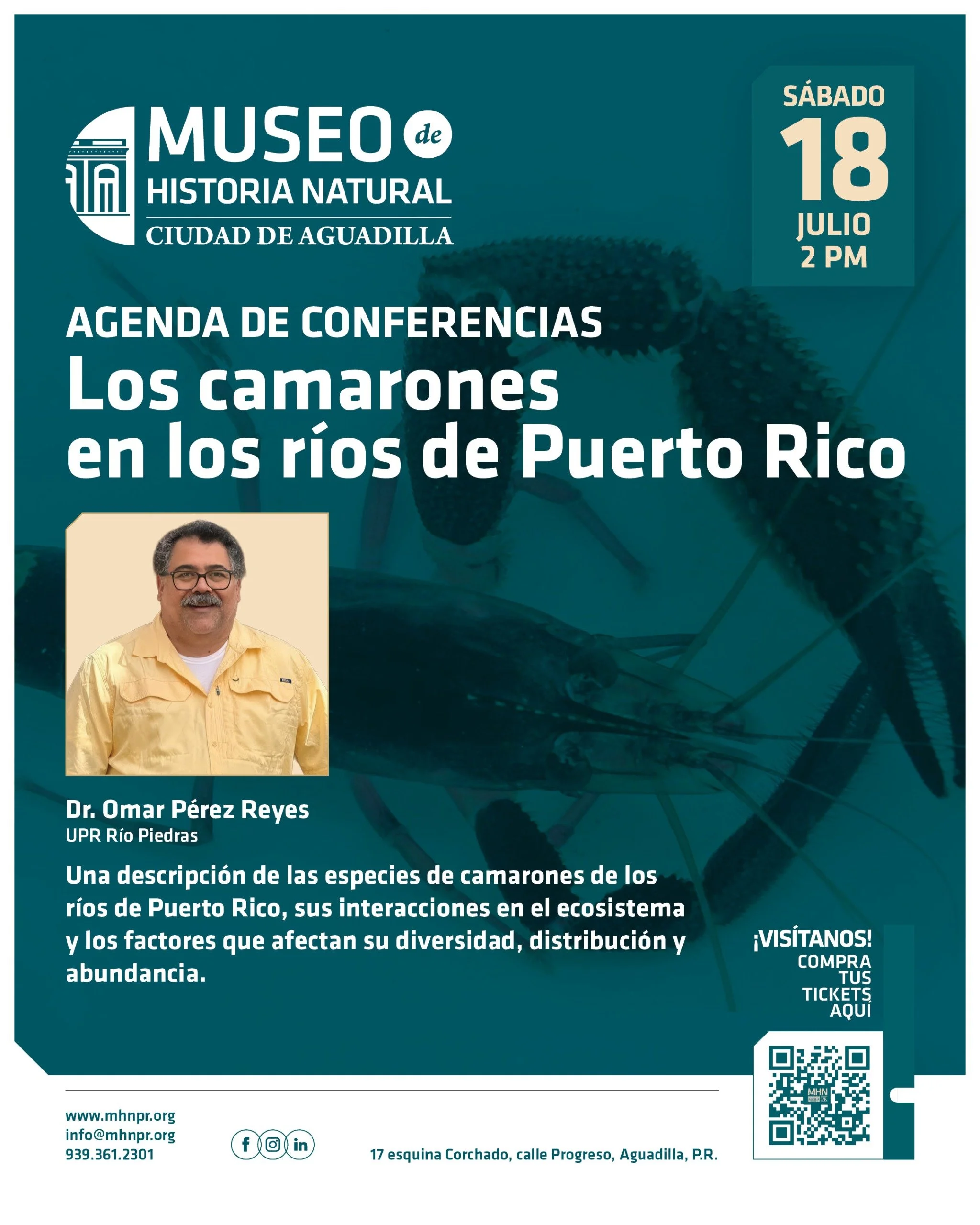 Los camarones en los ríos de Puerto Rico