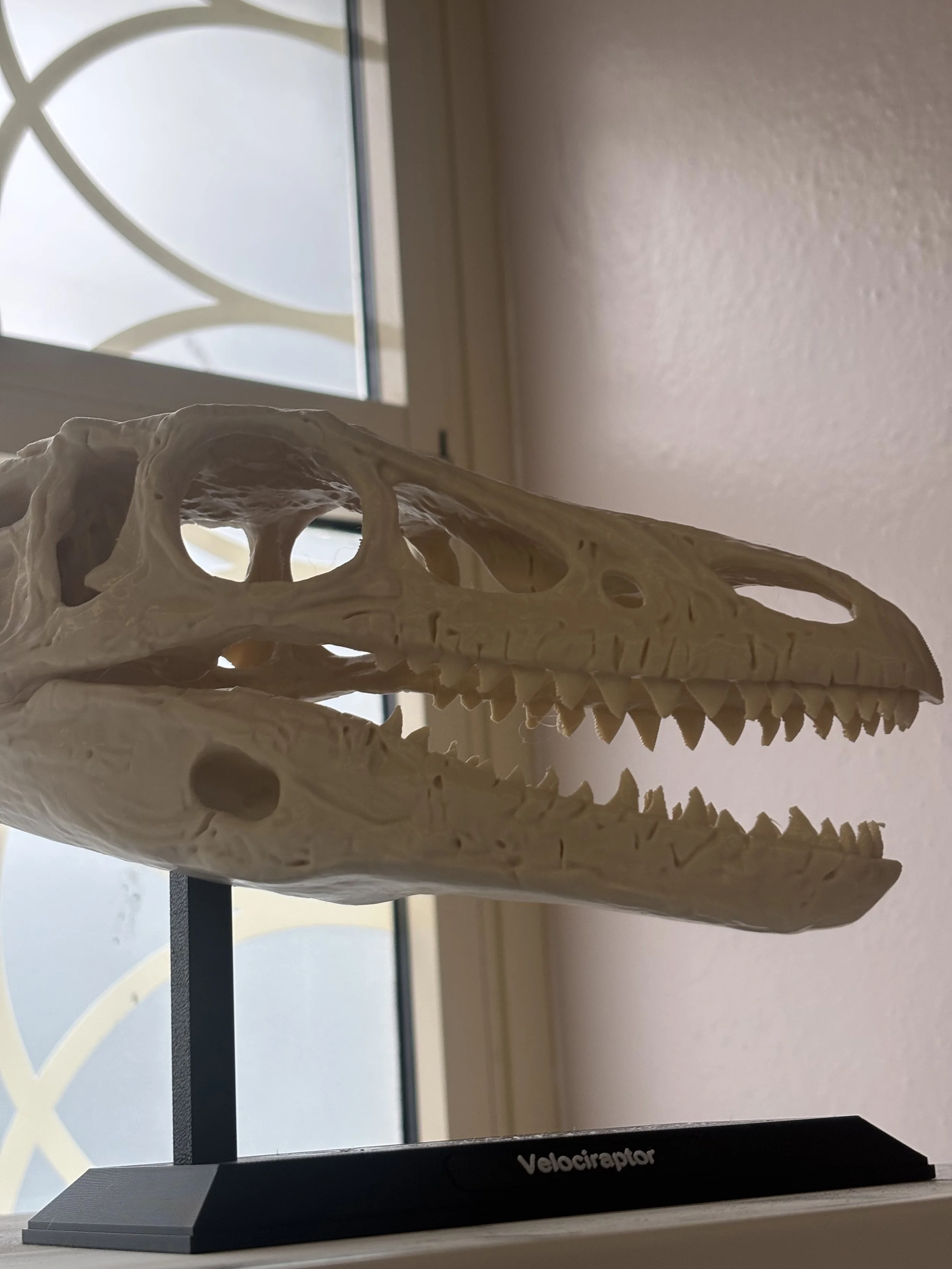 Big Velociraptor