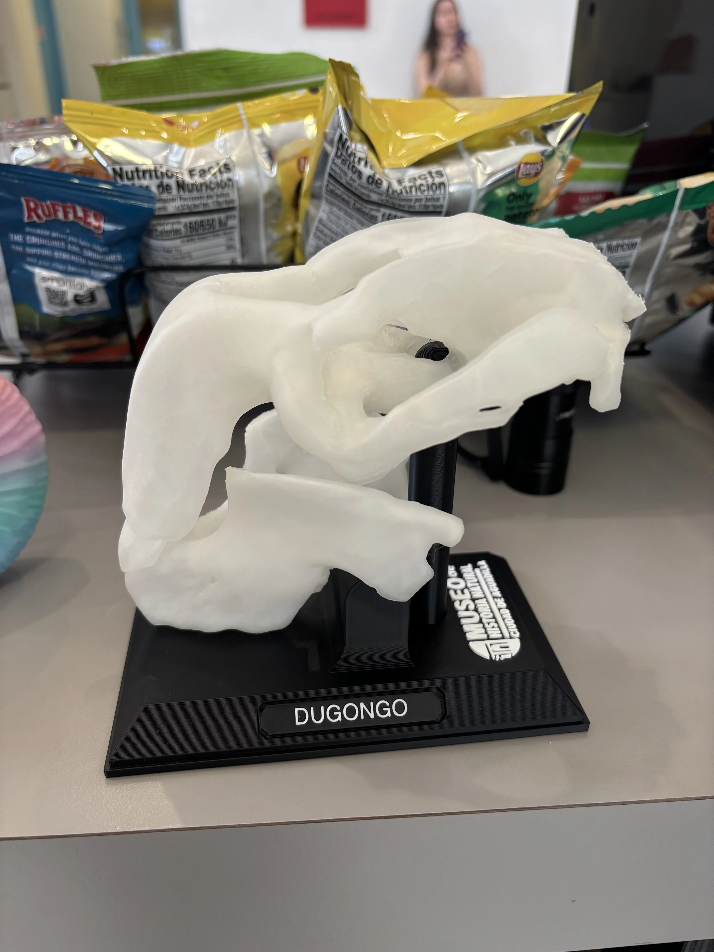 Medium Dugongo (UV)