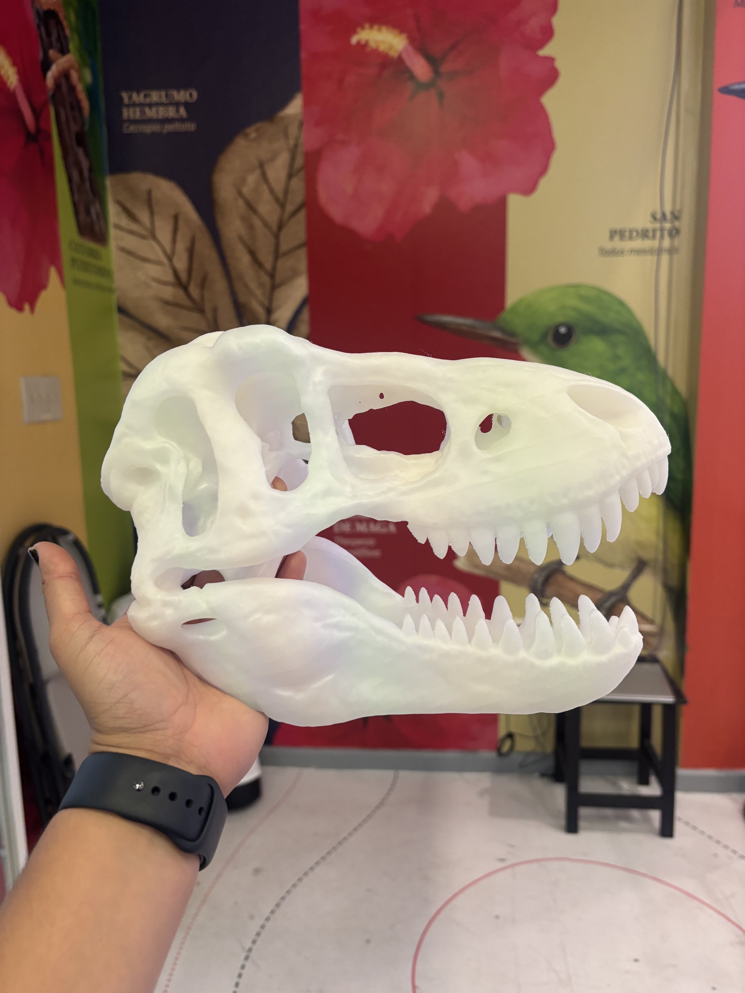 Medium T-Rex (UV)