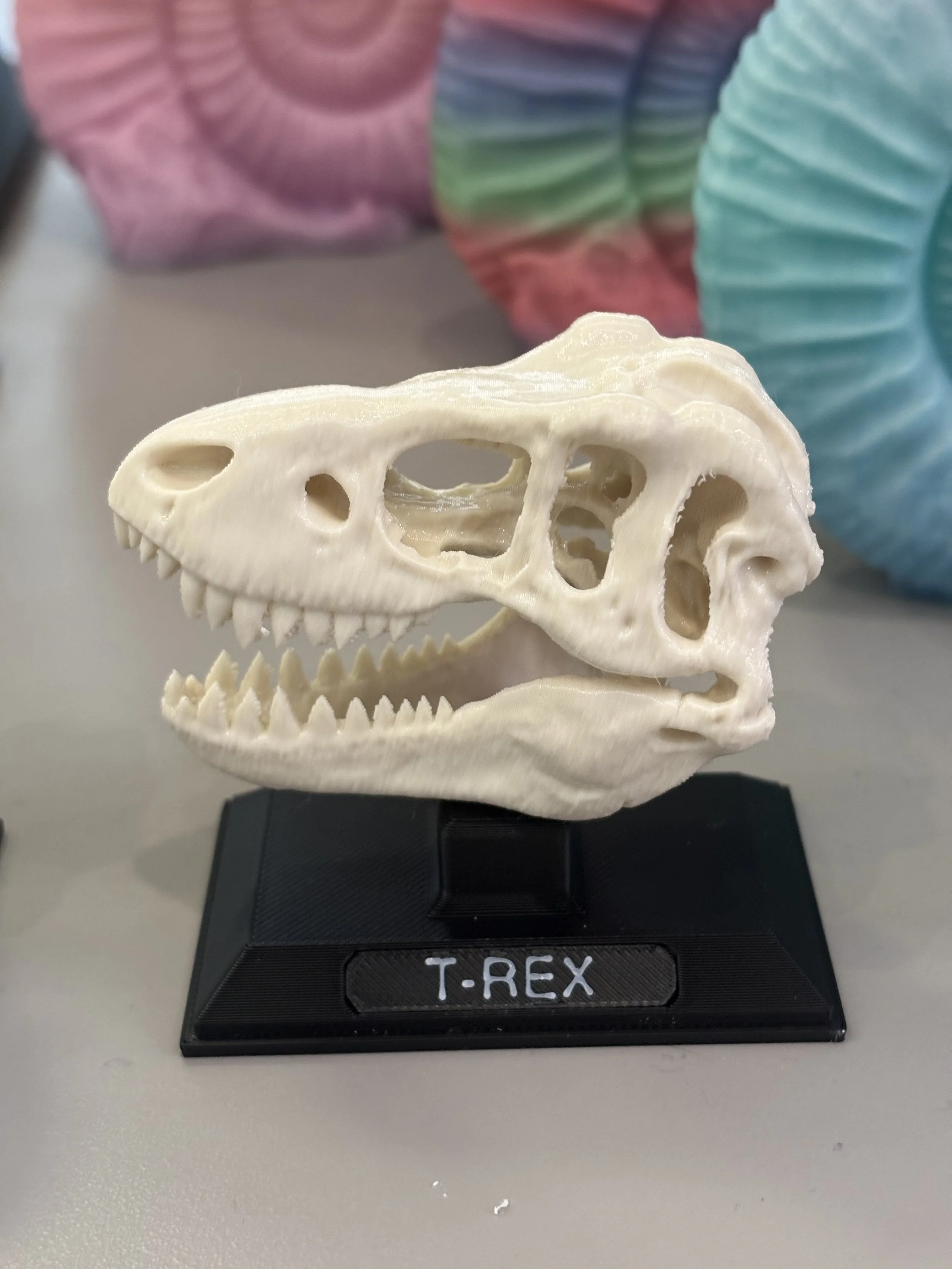 Small 3D T-Rex