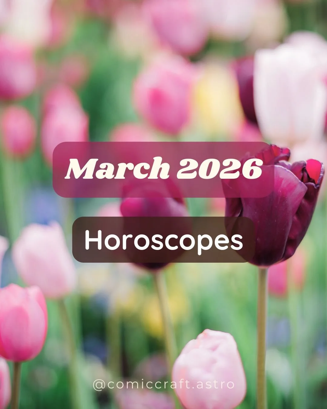 Quick &amp; Cute horoscopes for March! 🌷I&rsquo;m blaming mercury retrograde for these going up late lmao

Want detailed horoscopes connected directly to your Google Calendar? Check out the 🔗 in bio! 

#astrology #horoscopes