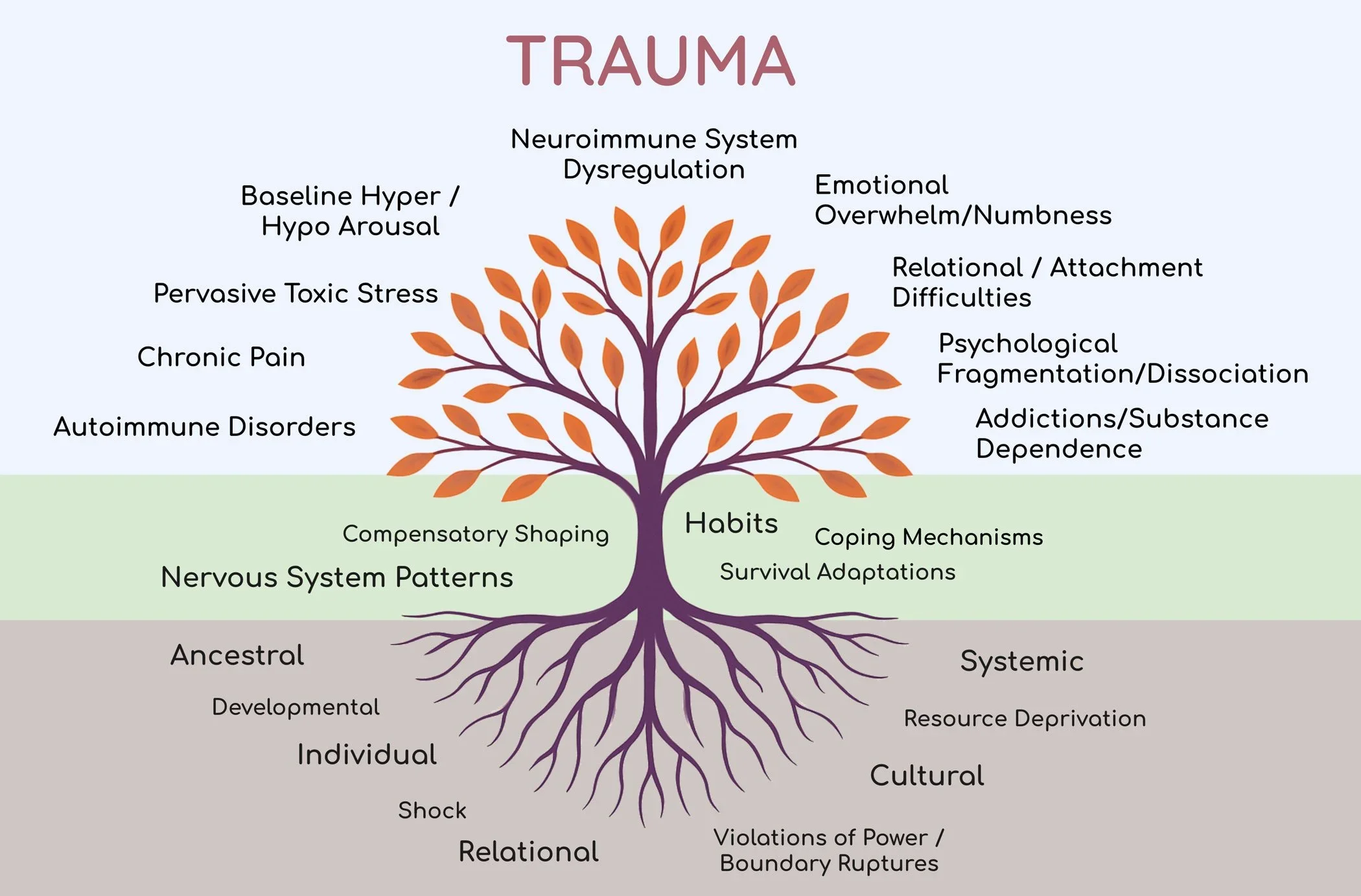 5 Things a Trauma-Informed Therapist Would Never Say