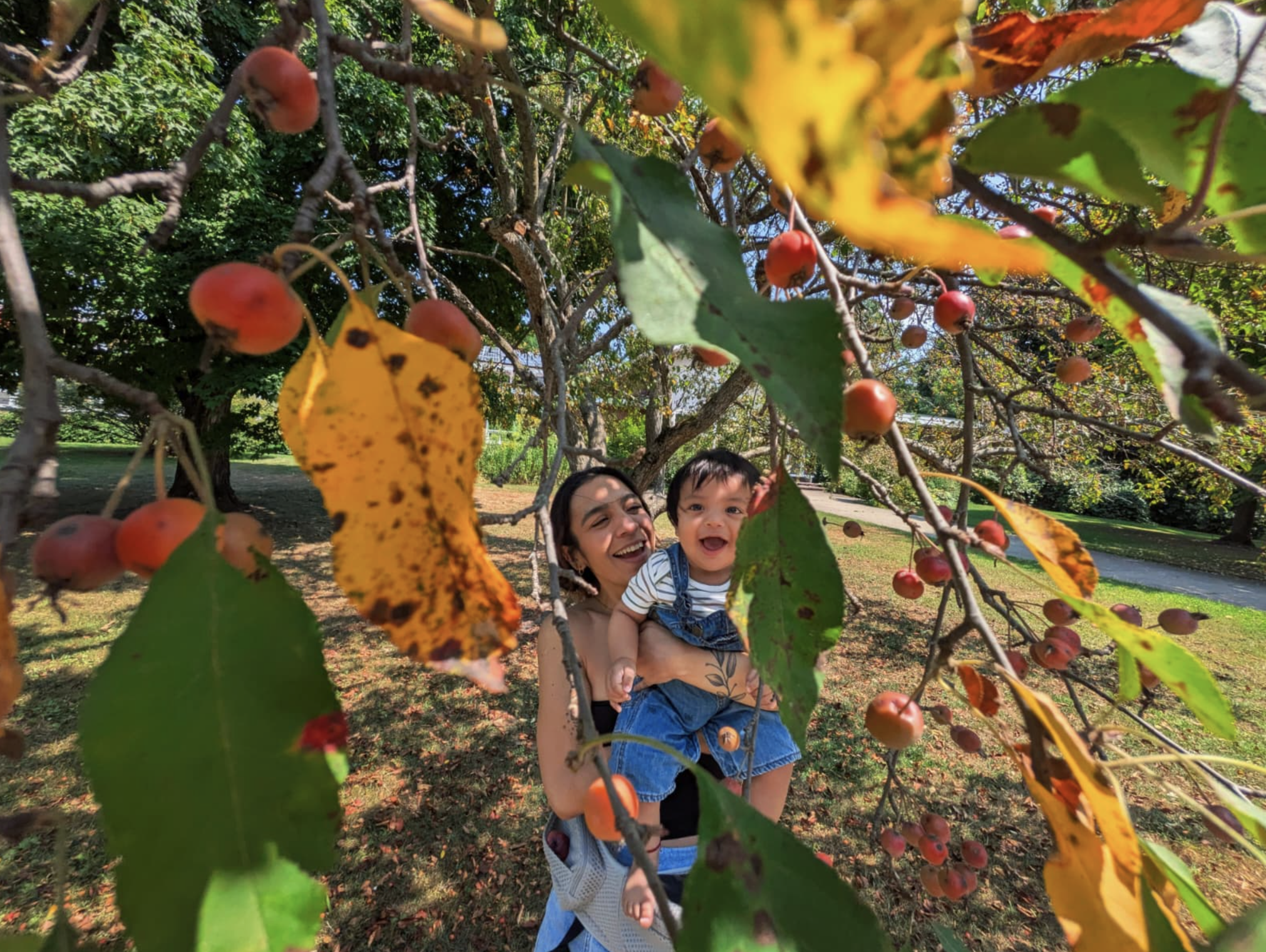 Screenshot 2026-01-19 at 8.19.06 PM.png