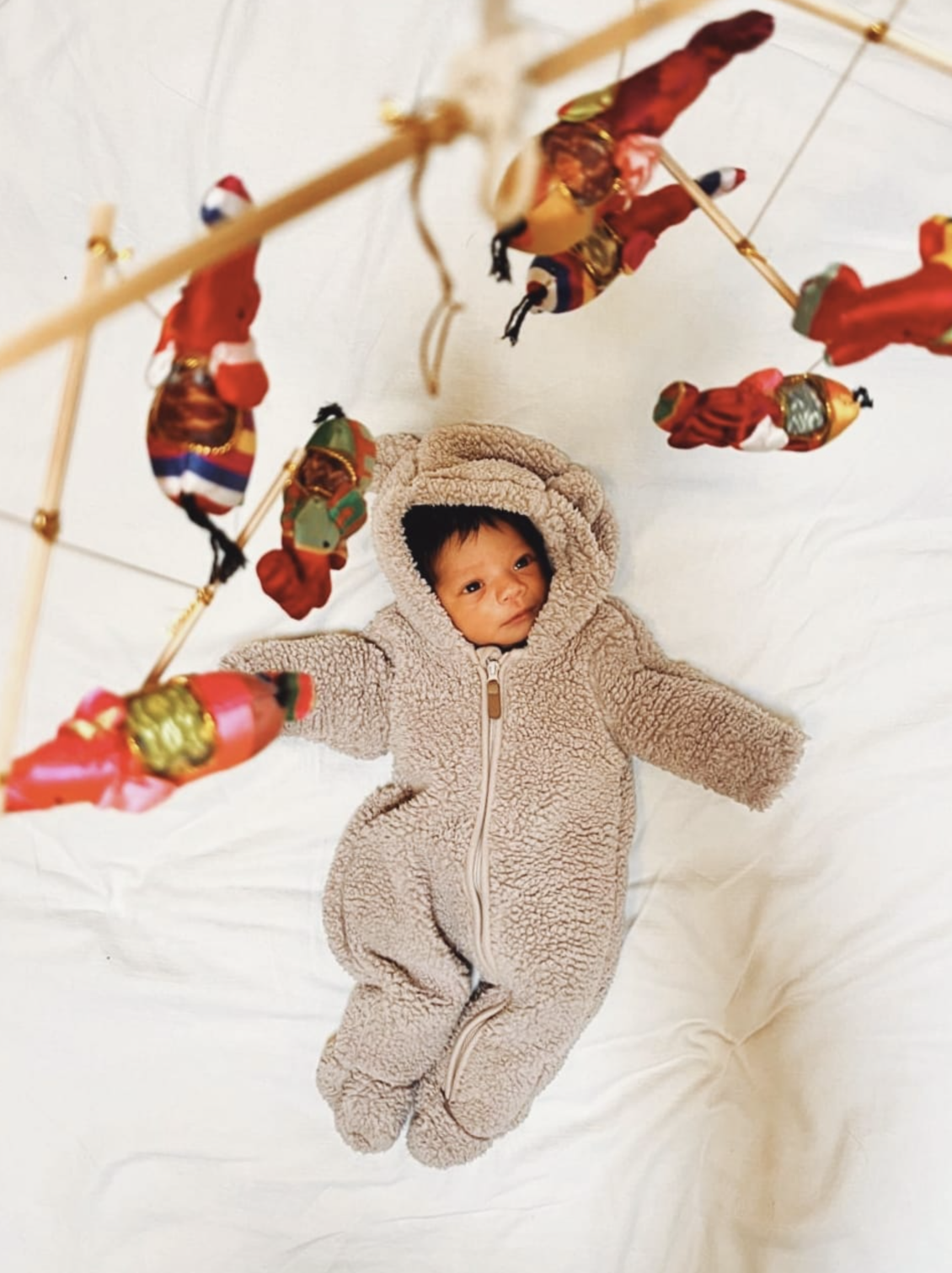 Screenshot 2026-01-19 at 8.20.11 PM.png