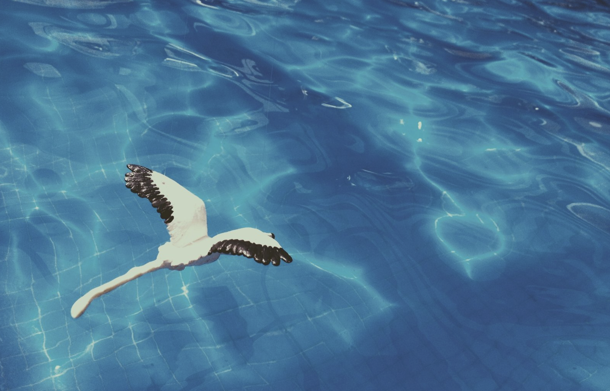 Screenshot 2026-01-19 at 8.13.09 PM.png