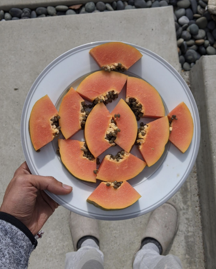 Screenshot 2023-05-28 at 10.09.40 AM.png