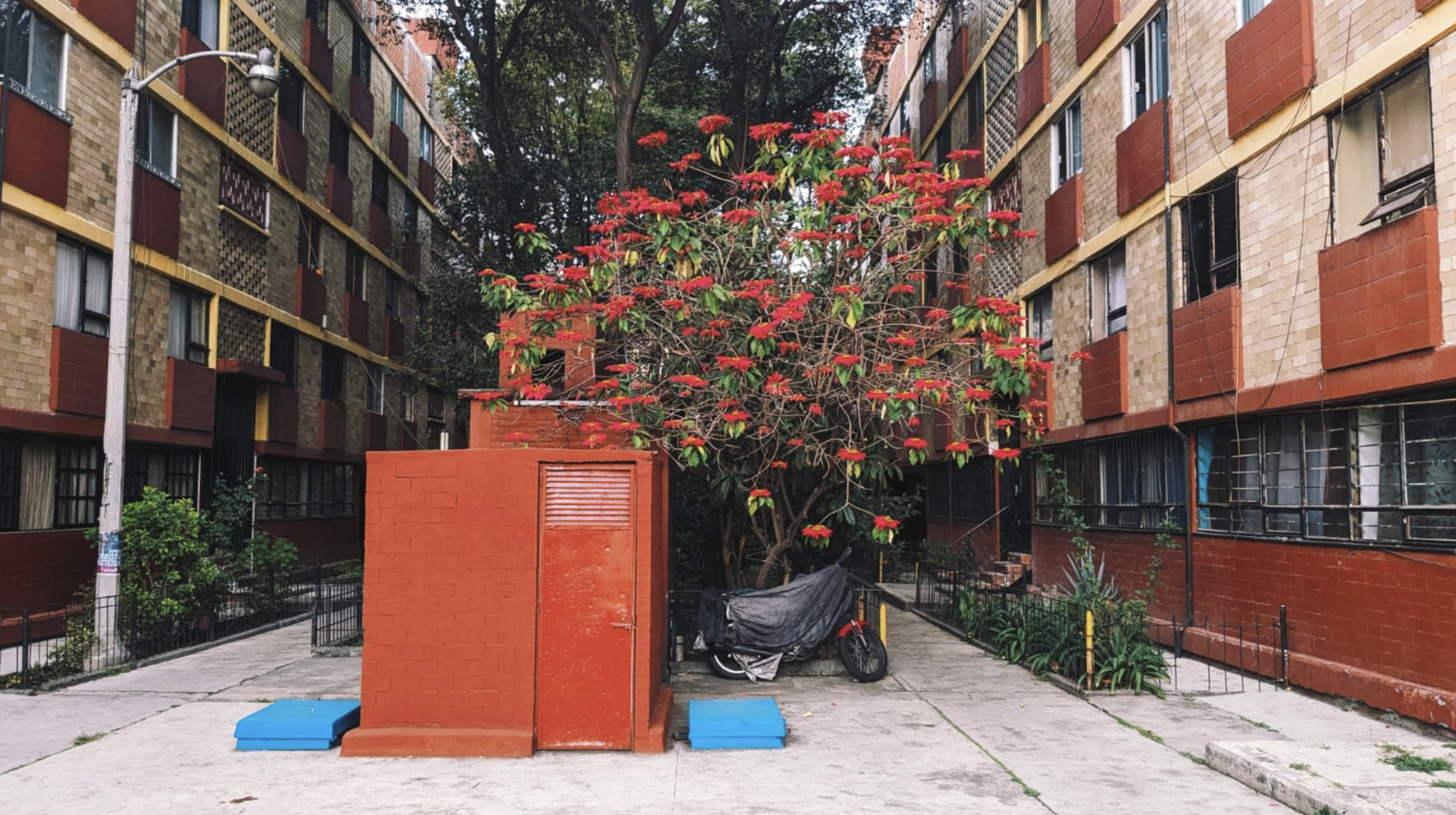 Screenshot 2026-01-19 at 8.21.58 PM.png