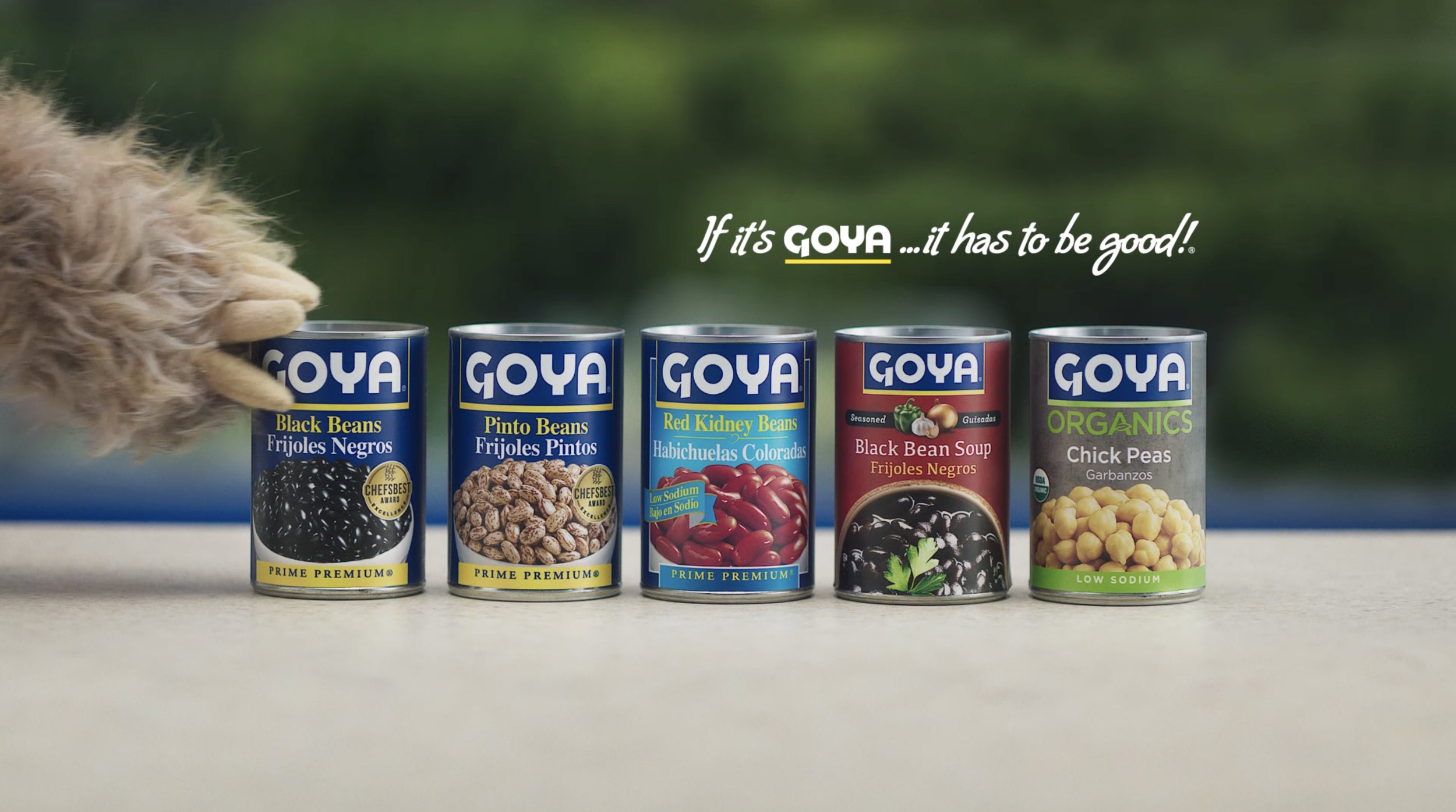 GOYA // Beans Again!