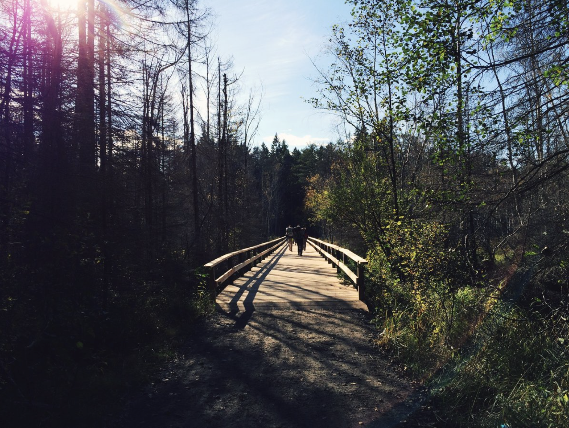 Screenshot 2026-01-19 at 8.15.40 PM.png