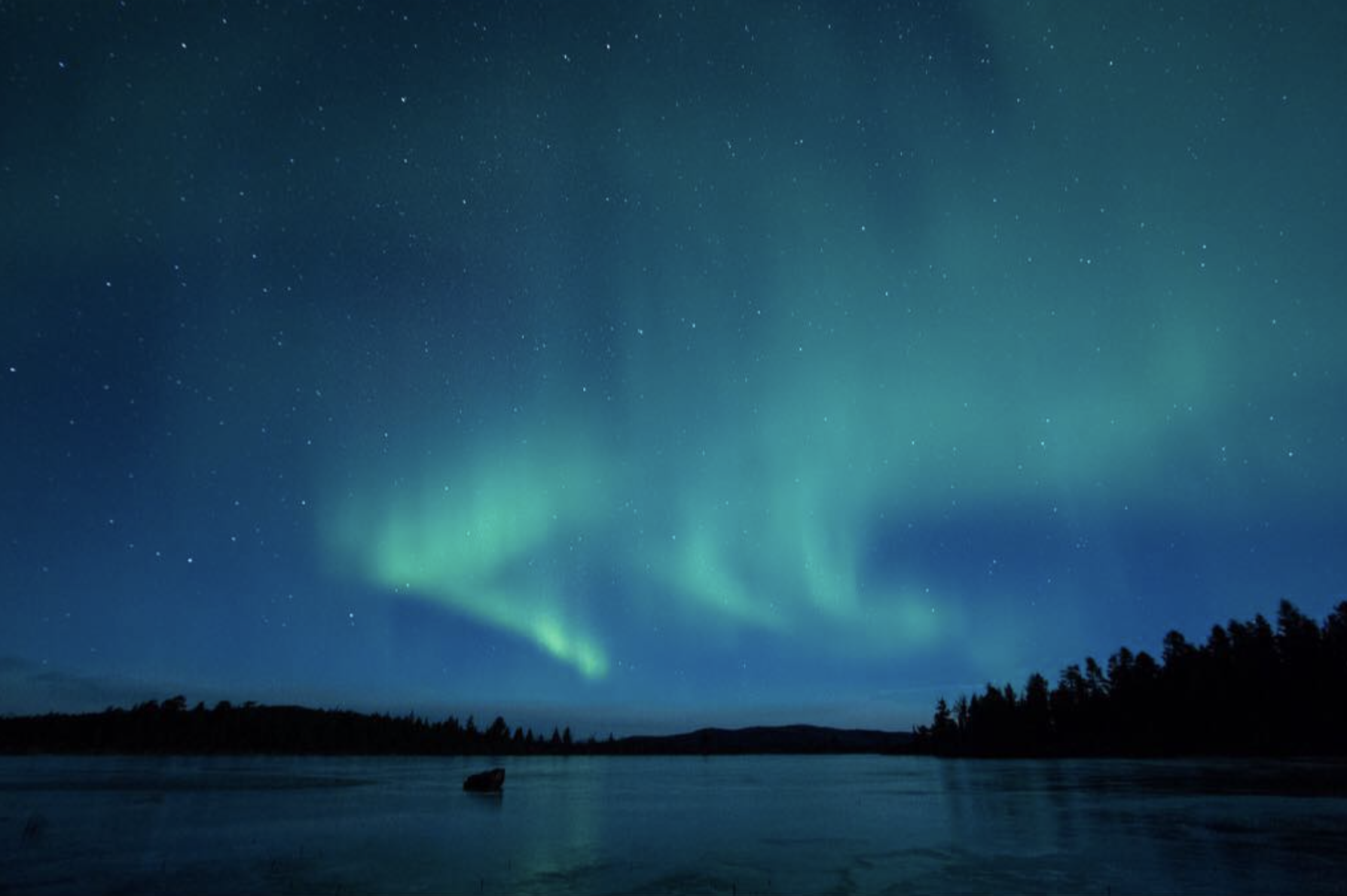 Screenshot 2026-01-19 at 8.58.15 PM.png