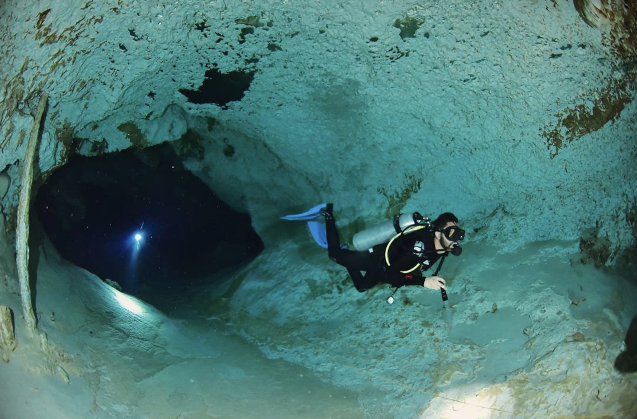 Screenshot 2023-05-28 at 10.08.34 AM.png