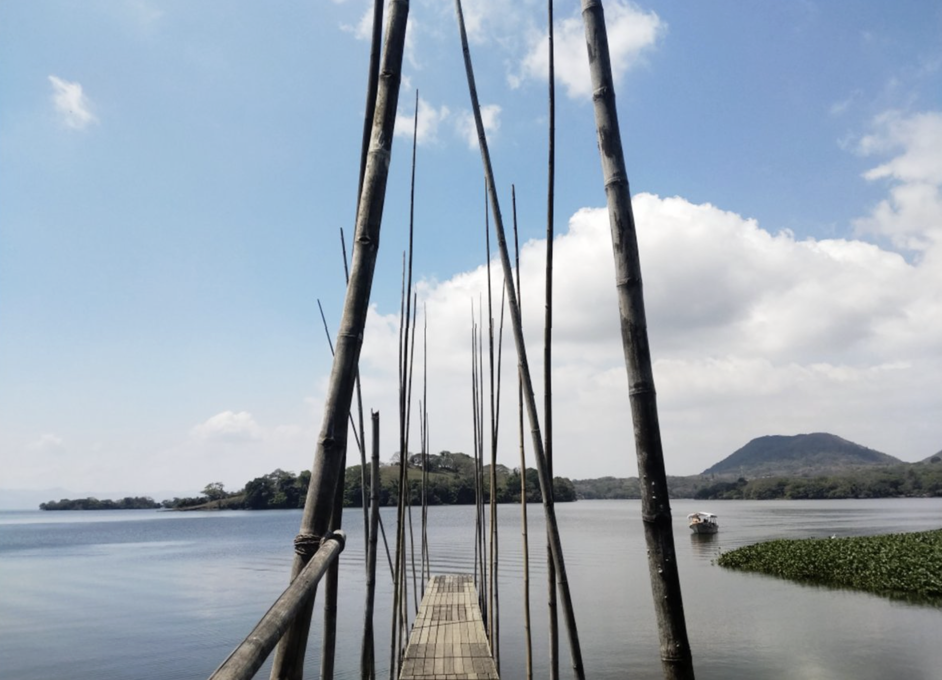 Screenshot 2026-01-19 at 7.51.18 PM.png