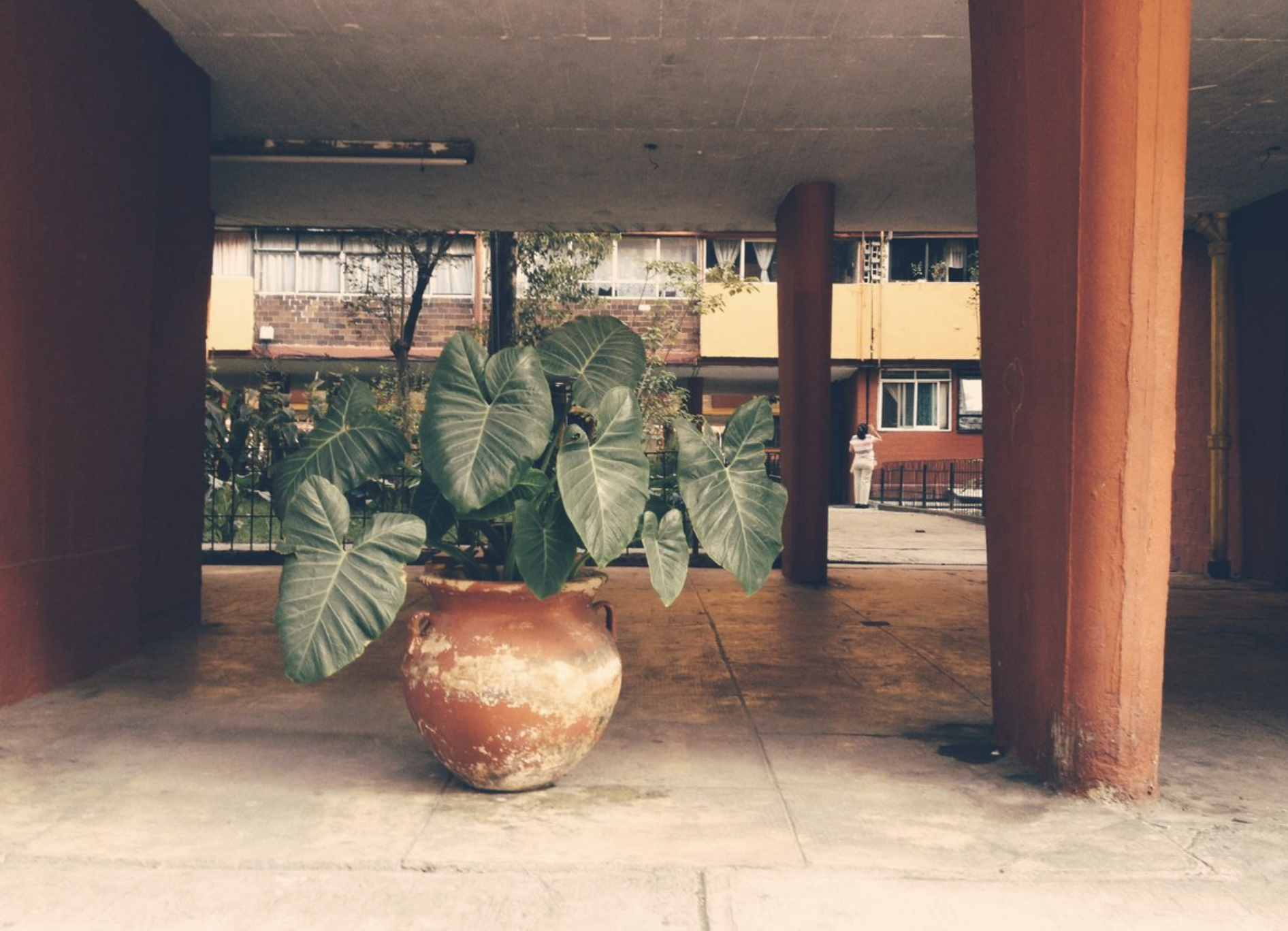 Screenshot 2026-01-19 at 8.07.16 PM.png