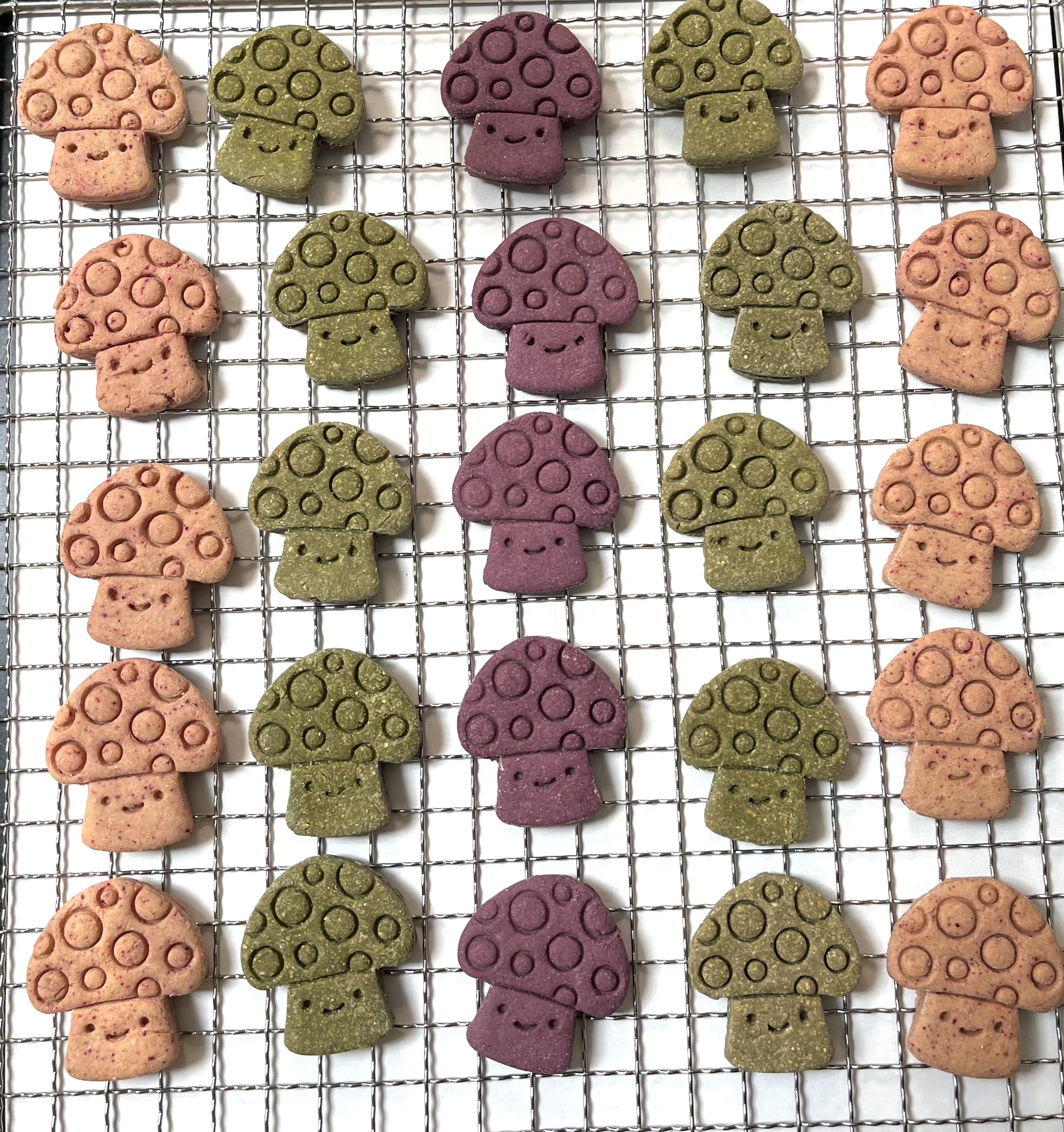 Smiling Toadstool Variety Pack