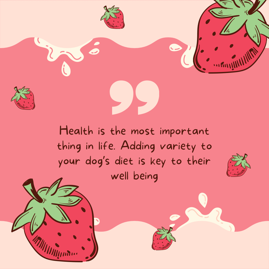 Health is the most important thing in life. Adding variety to your dog’s diet is key to their well being - 1.png
