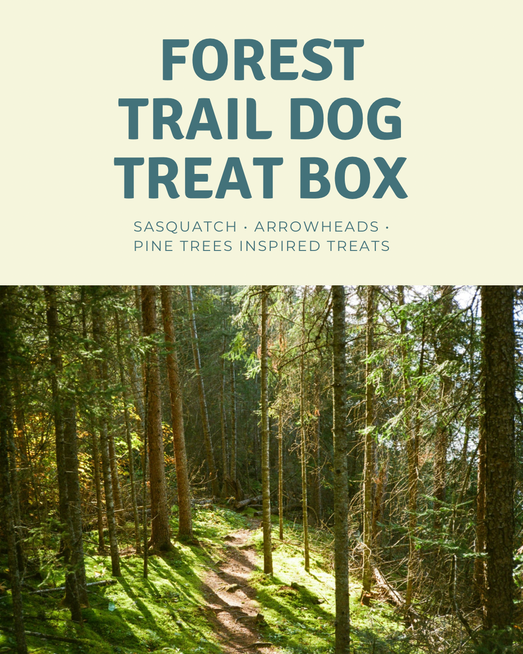 forest trail Dog Treat box - 1.PNG