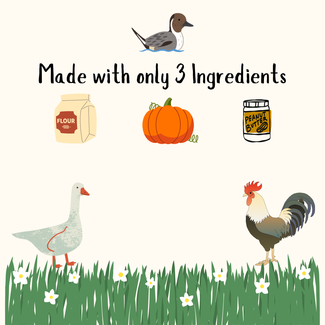 Perfect Gift for Bird Lover - 2.png