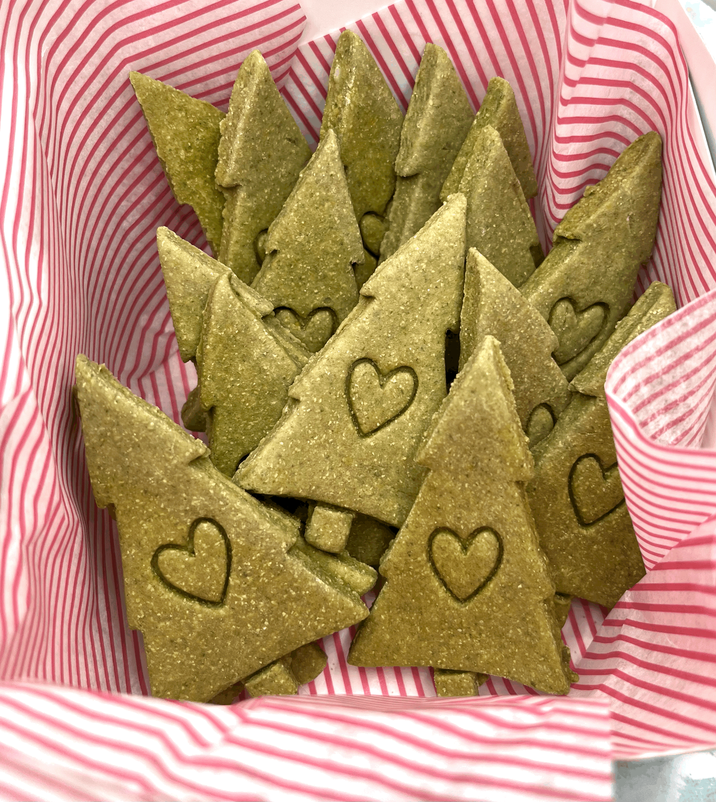 Tree Shaped Dog Treats