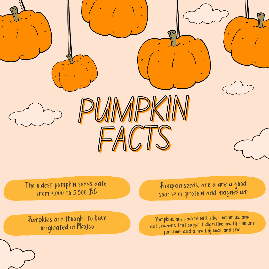 Peanut Pumpkins you are the creator of your own destiny!.zip - 1.png