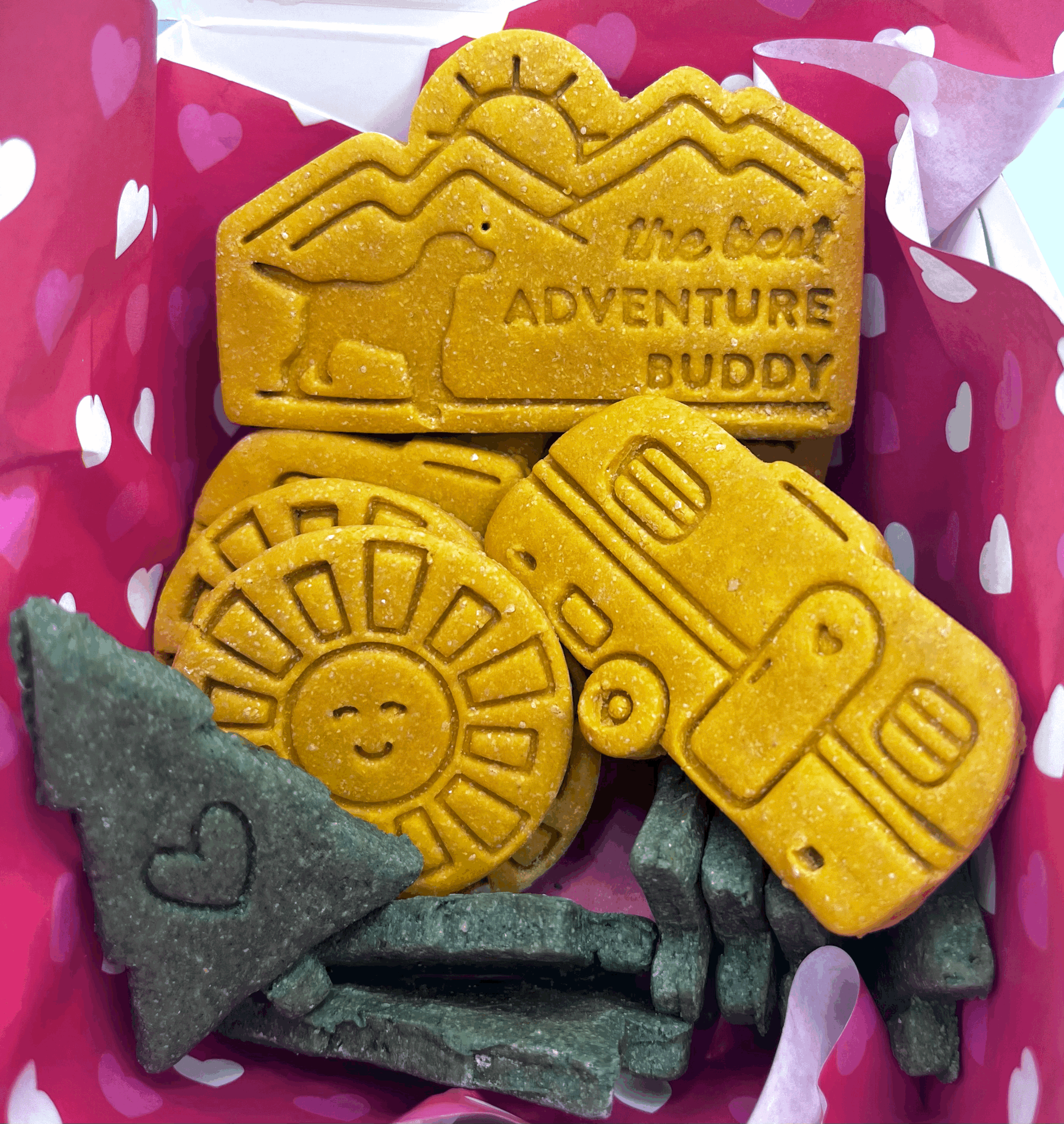 Adventure Dog Treat Box