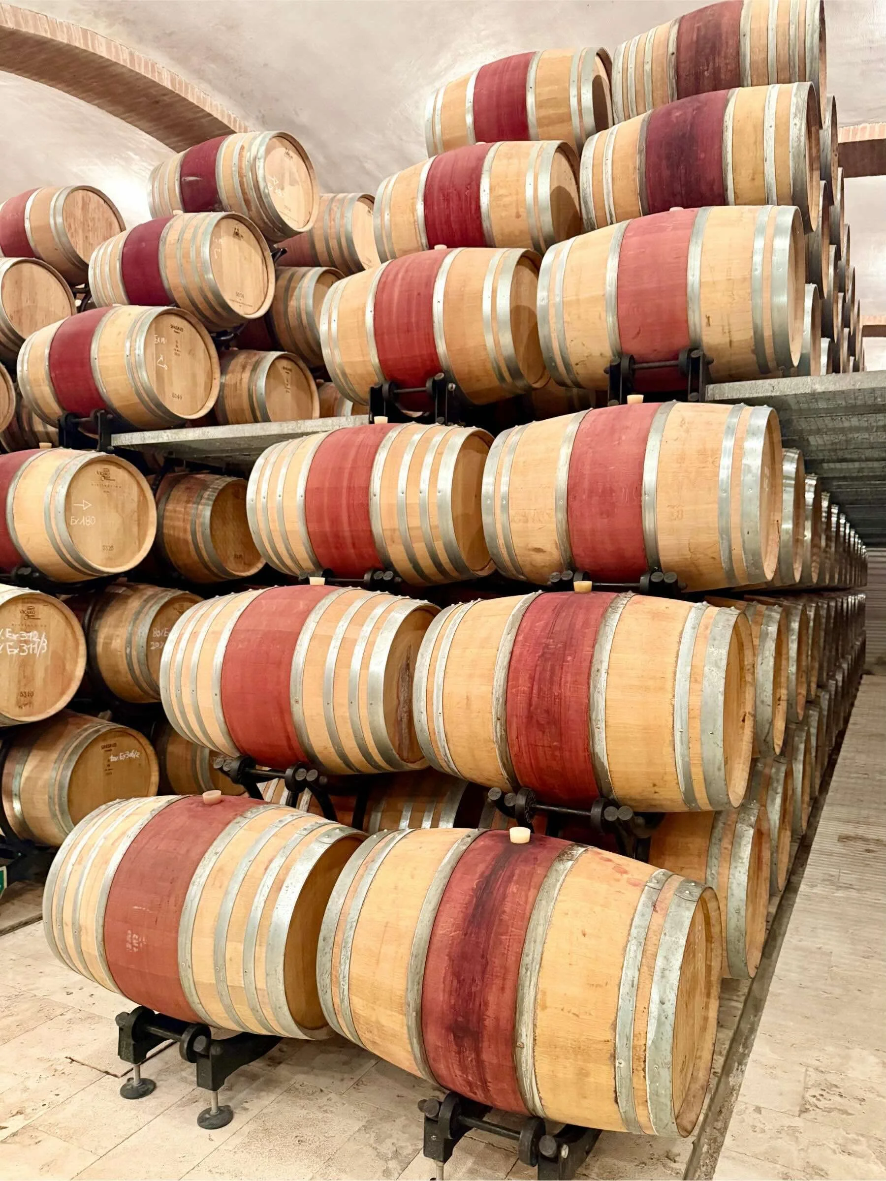 linara-wines-felsina-15.jpeg