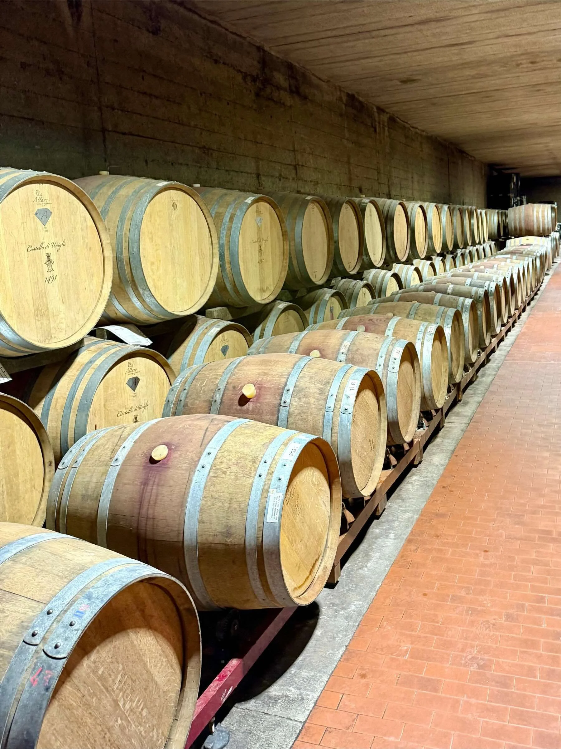linara-wines-castello-di-uviglie-23.jpeg