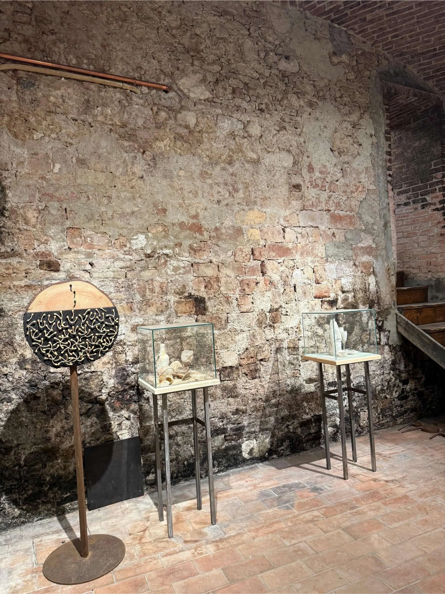 linara-wines-castello-di-uviglie-20.jpeg