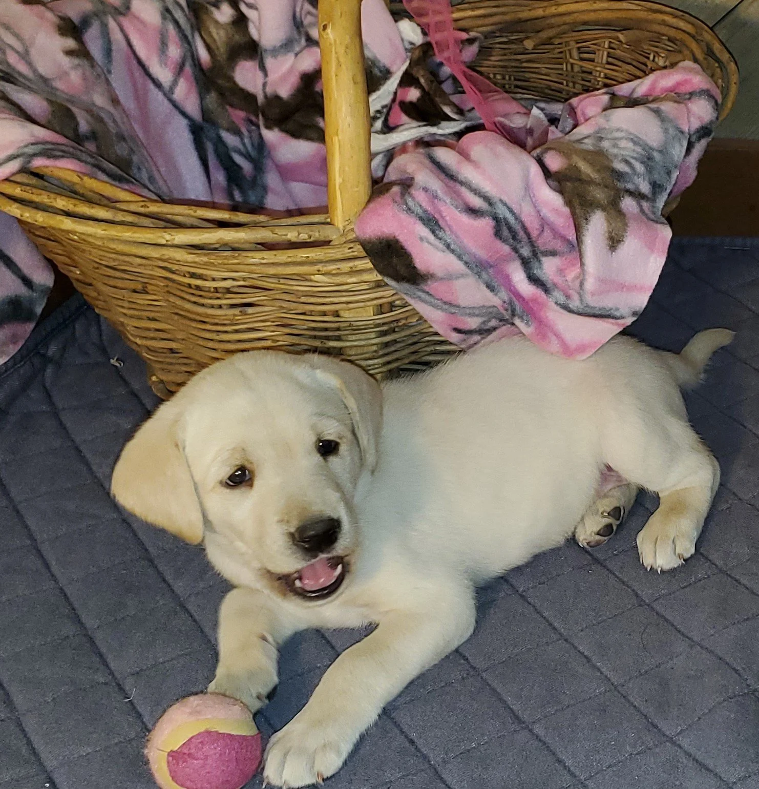 20190806_124920 Maggie.jpg