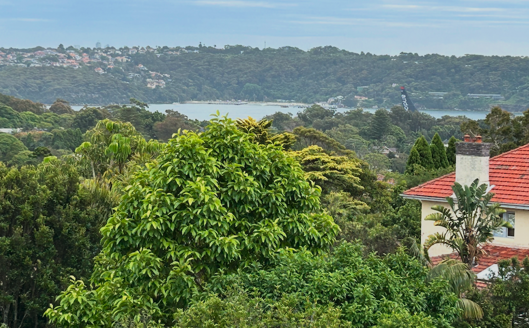 VIEW LOSS: Visual obstruction of iconic, district or water views 