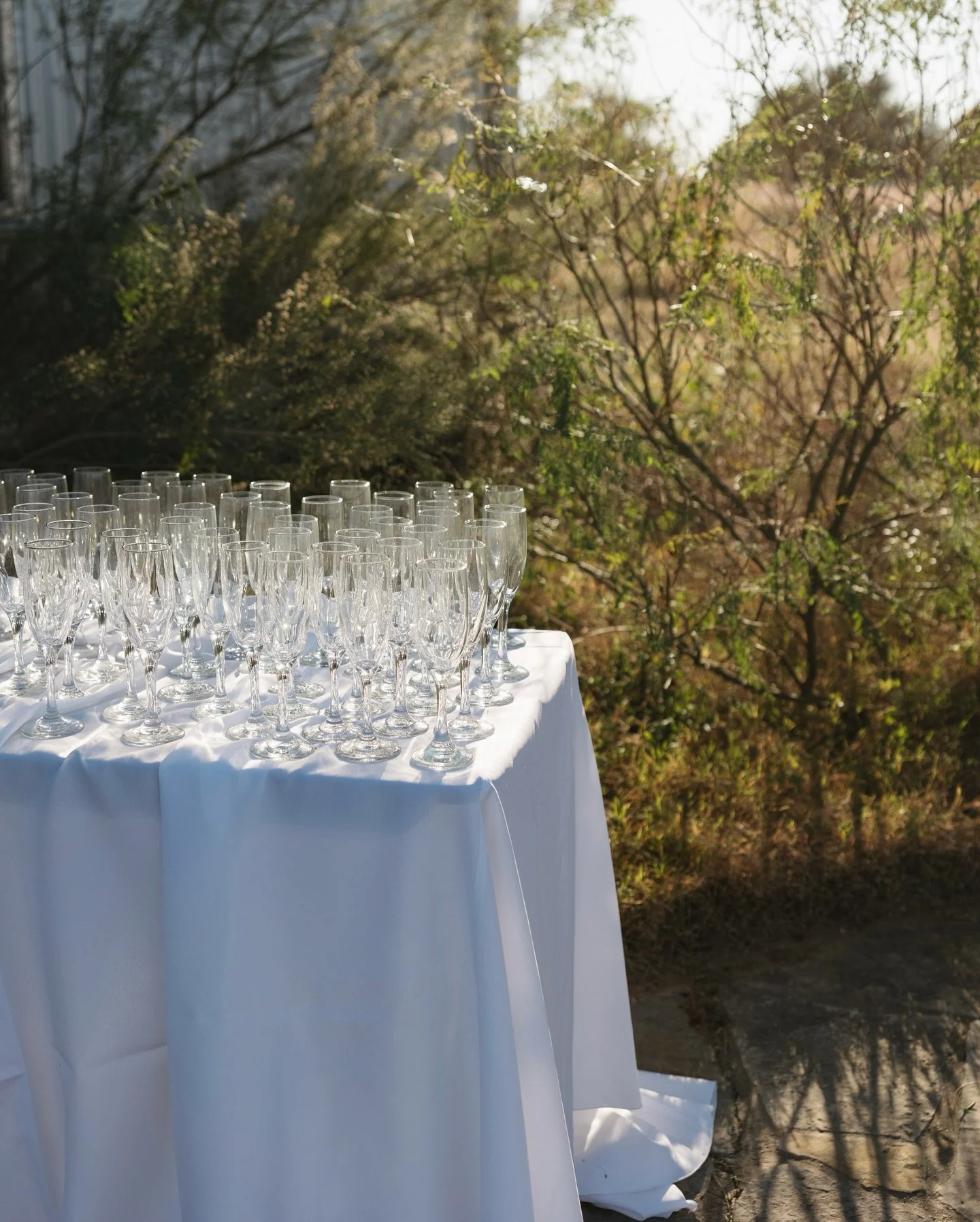 Taylor &amp; Nash in Texas Hill Country 💌