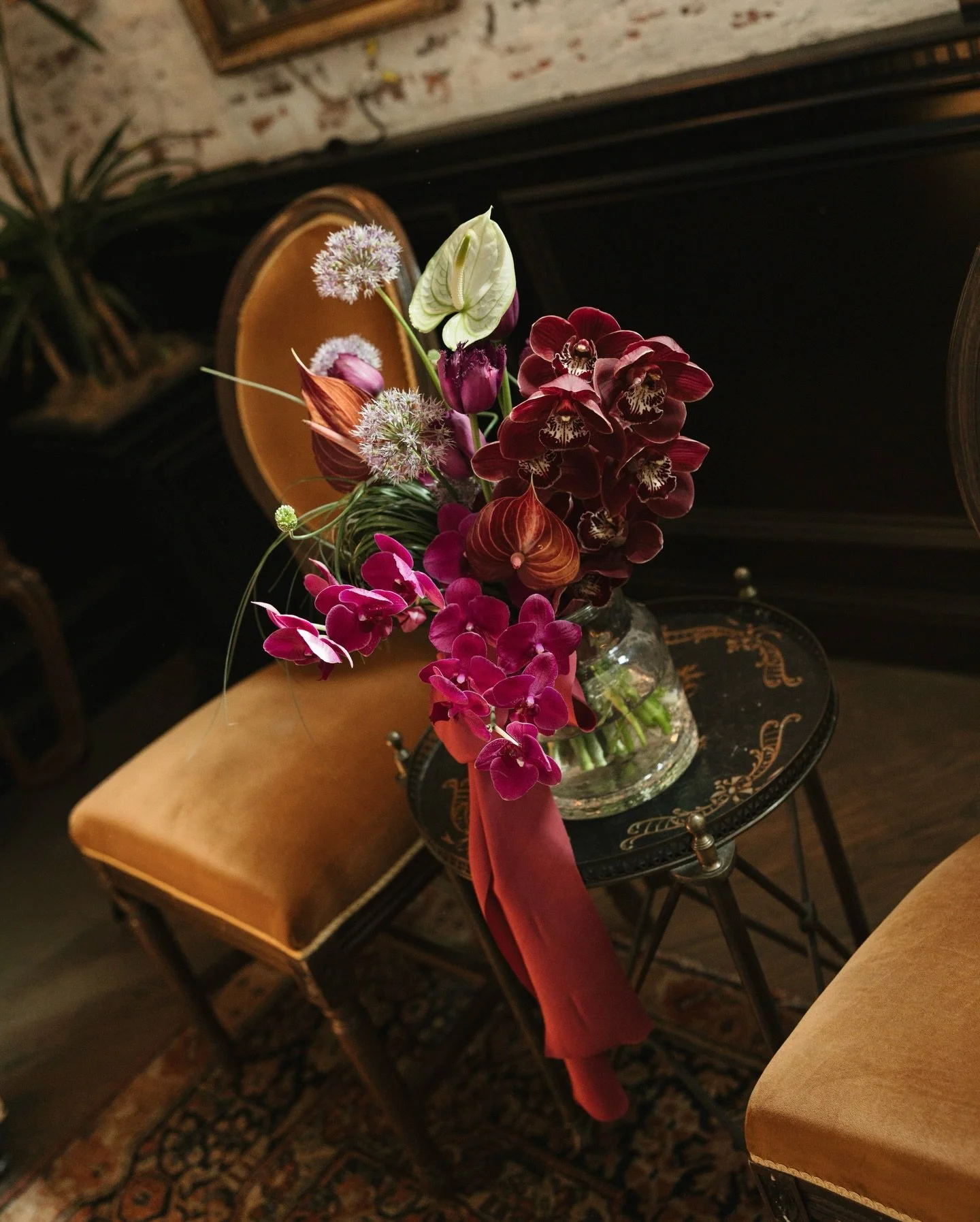 The Quirings @themasondallas 🕊️