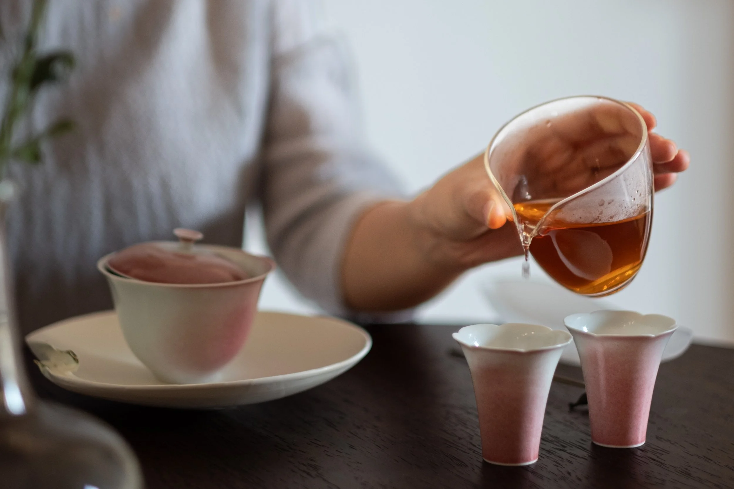 Chinese Tea Ceremony Workshop: Brewing Brewing Wuyi Rock Tea with Gaiwan