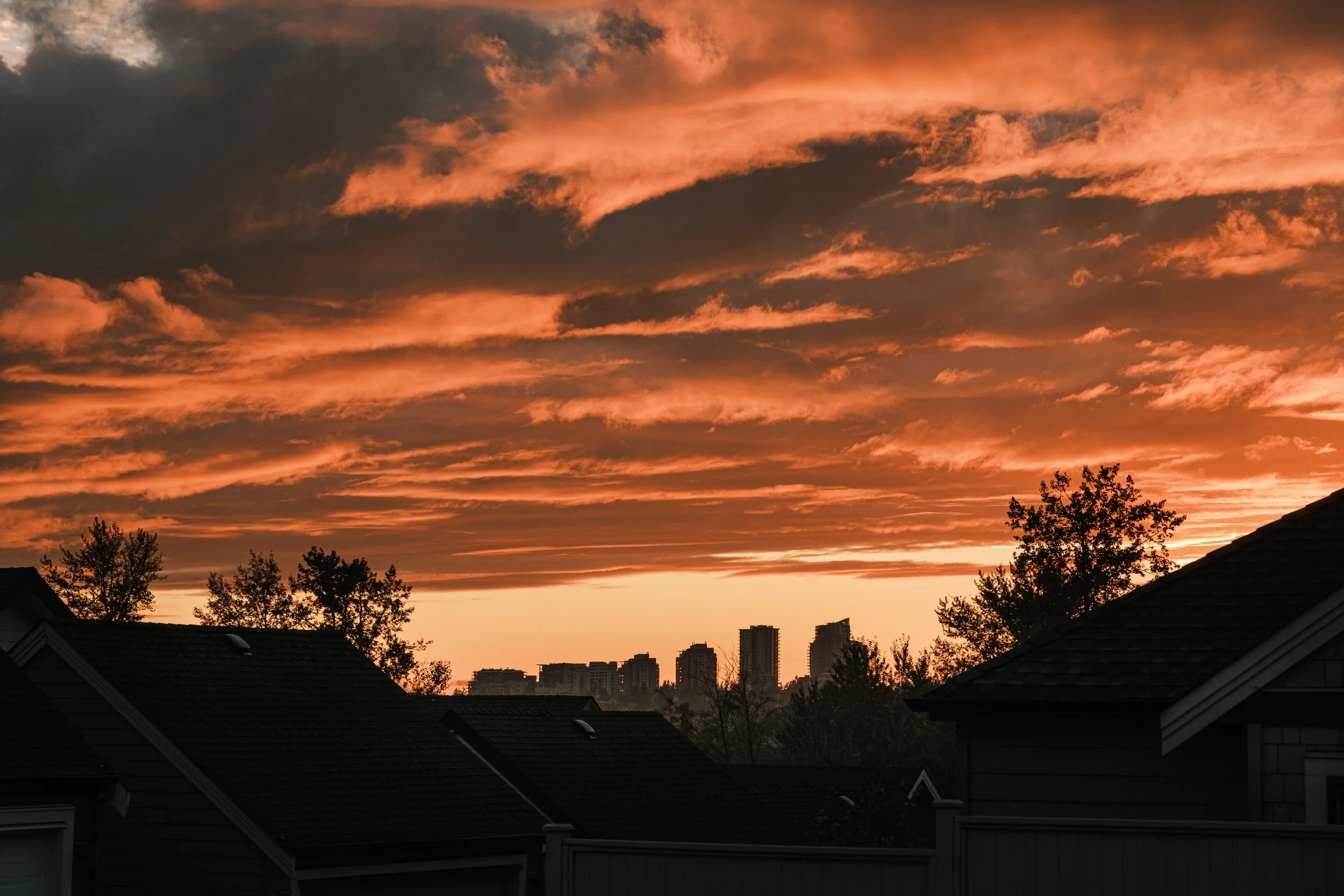 DSCF0420.jpg