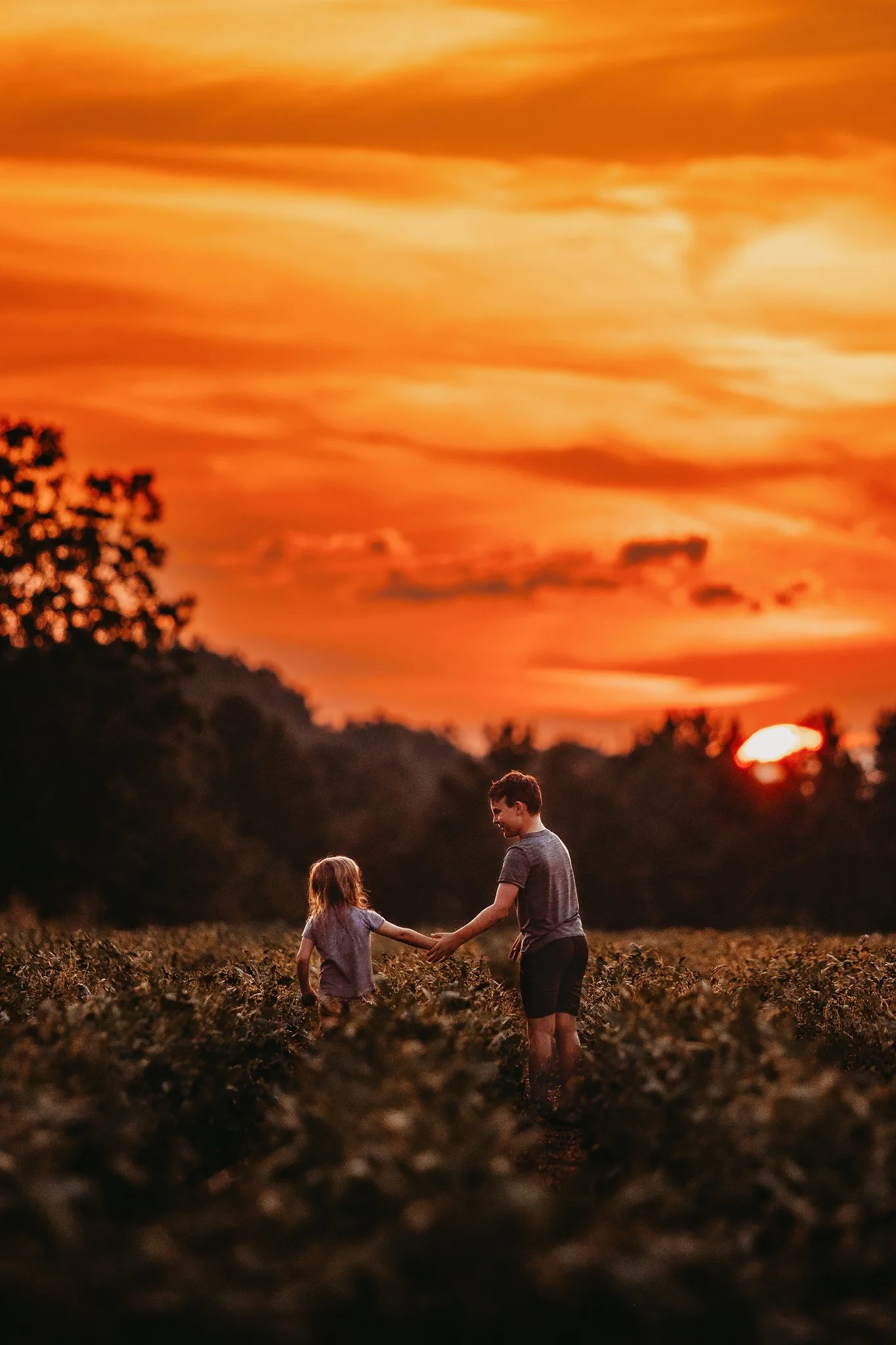 A young brother and sister walk through a soybean field in Pace, Florida as the sun sets below the tree line and gives a vibrant orange glow. Taken by Pace FL family Photographer June Sunrise Photography.