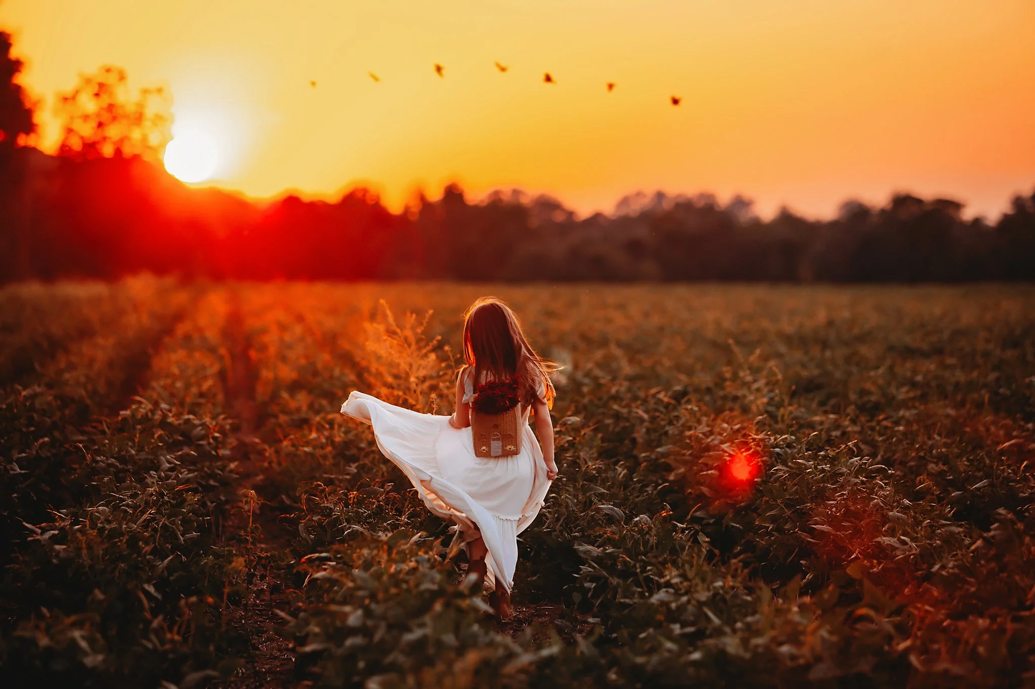 A young girl twirls in her dress in front of a vibrant orange sunset over a soybean field in Pace, Florida. Taken by Pace FL family Photographer June Sunrise Photography.