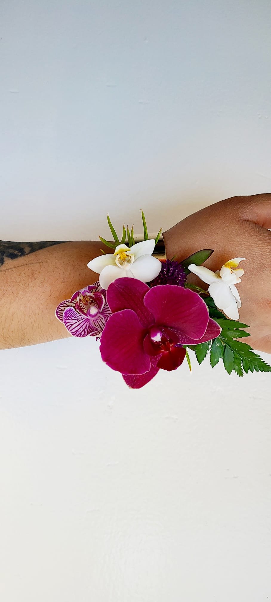 WhatsApp Image 2026-04-12 at 10.54.26 (1).jpeg