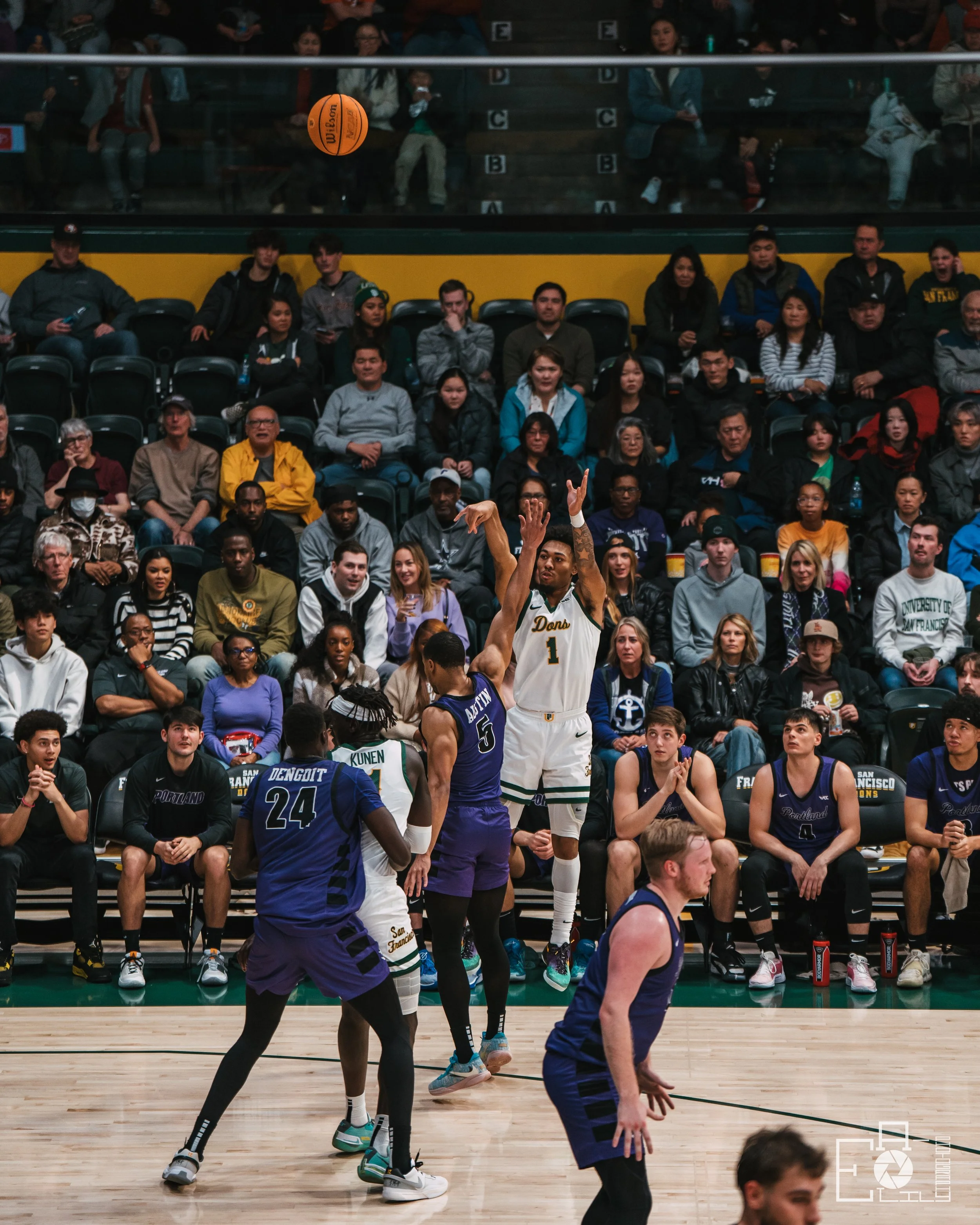USF dons-12.jpg