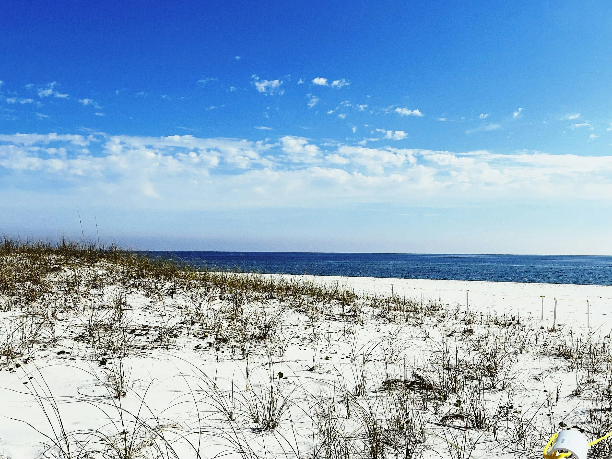 A sandy beach with sparse dune grass, blue ocean, and partly cloudy sky