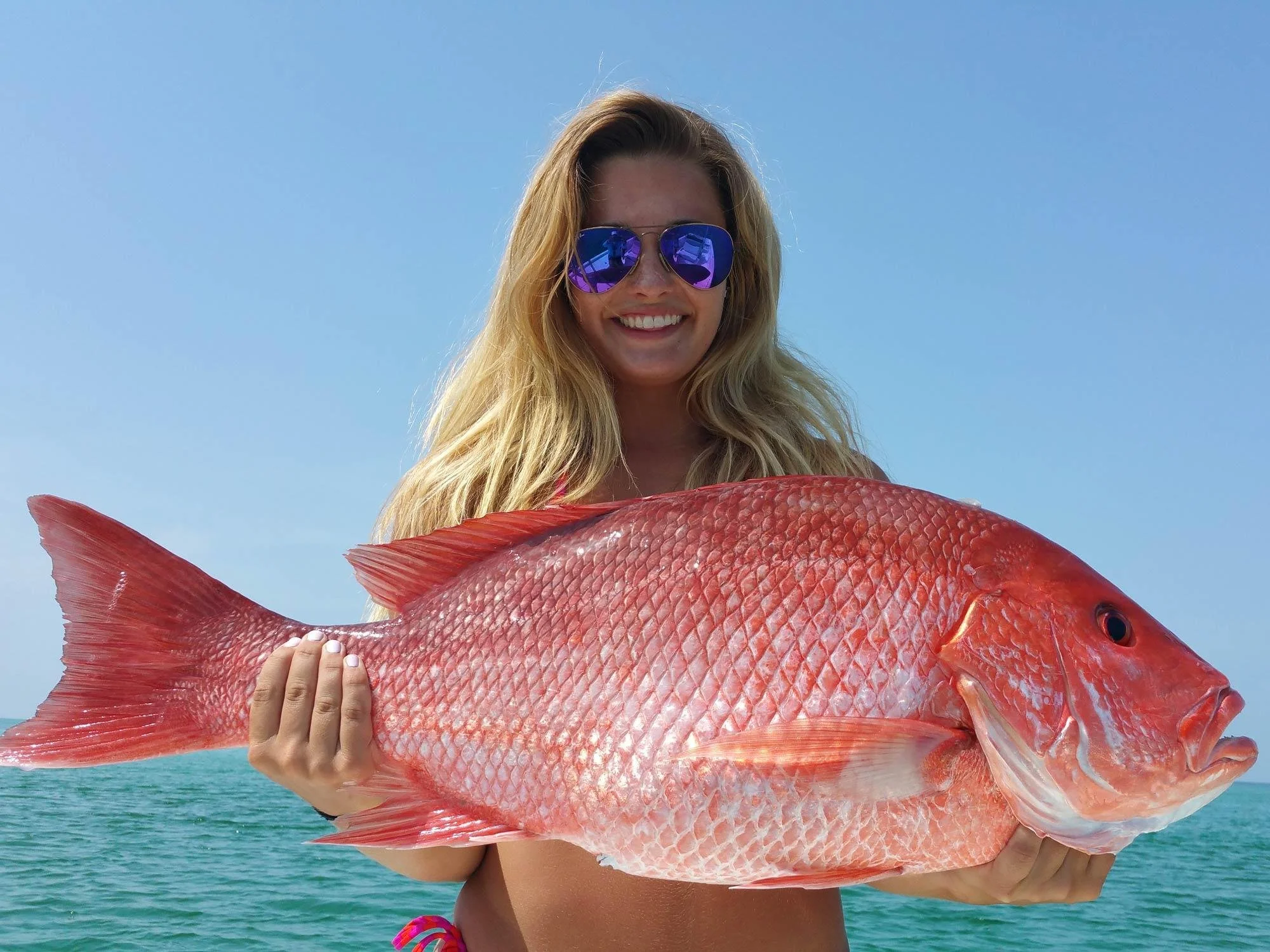 Florida Red Snapper Season 2026: Full Dates, Rules, and What Anglers Need to Know