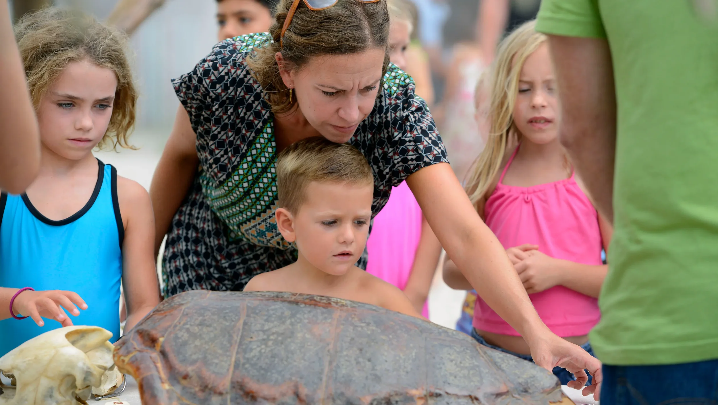 Summer Things to Do This Week in Pensacola
